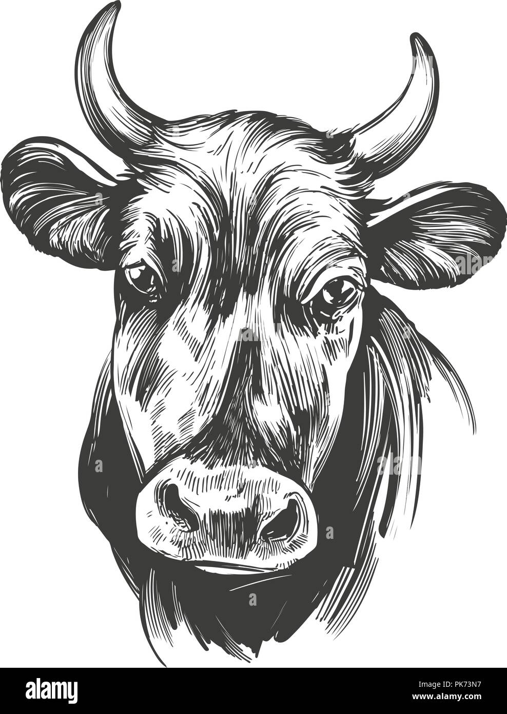 Mucca - animale domestico, farm disegnati a mano illustrazione vettoriale schizzo Illustrazione Vettoriale