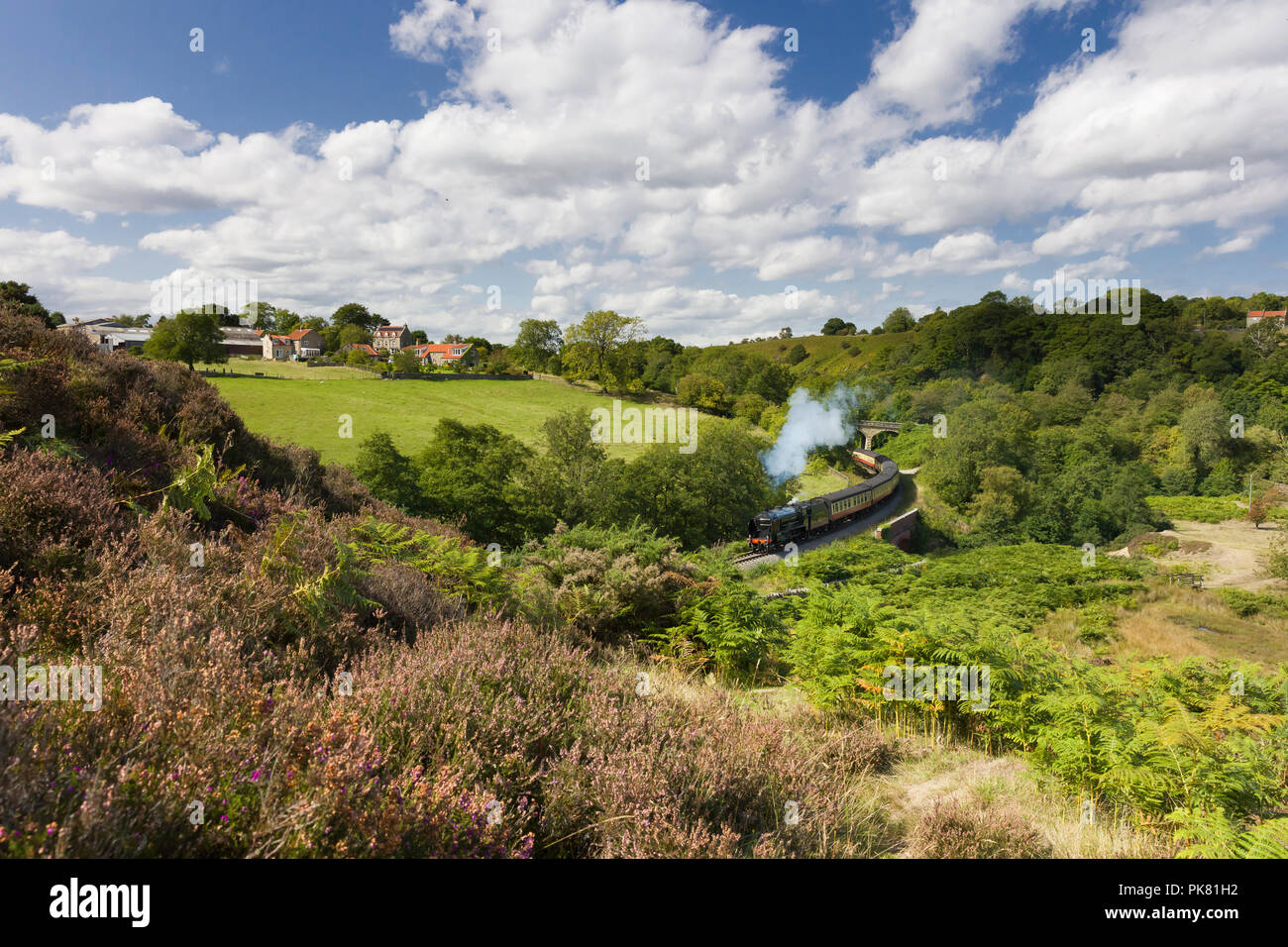 Una locomotiva a vapore che viaggiano da Whitby e Grosmont attraverso Darnholme a Goathland e Pickering sulla North Yorkshire Moors Railway, Inghilterra. Foto Stock