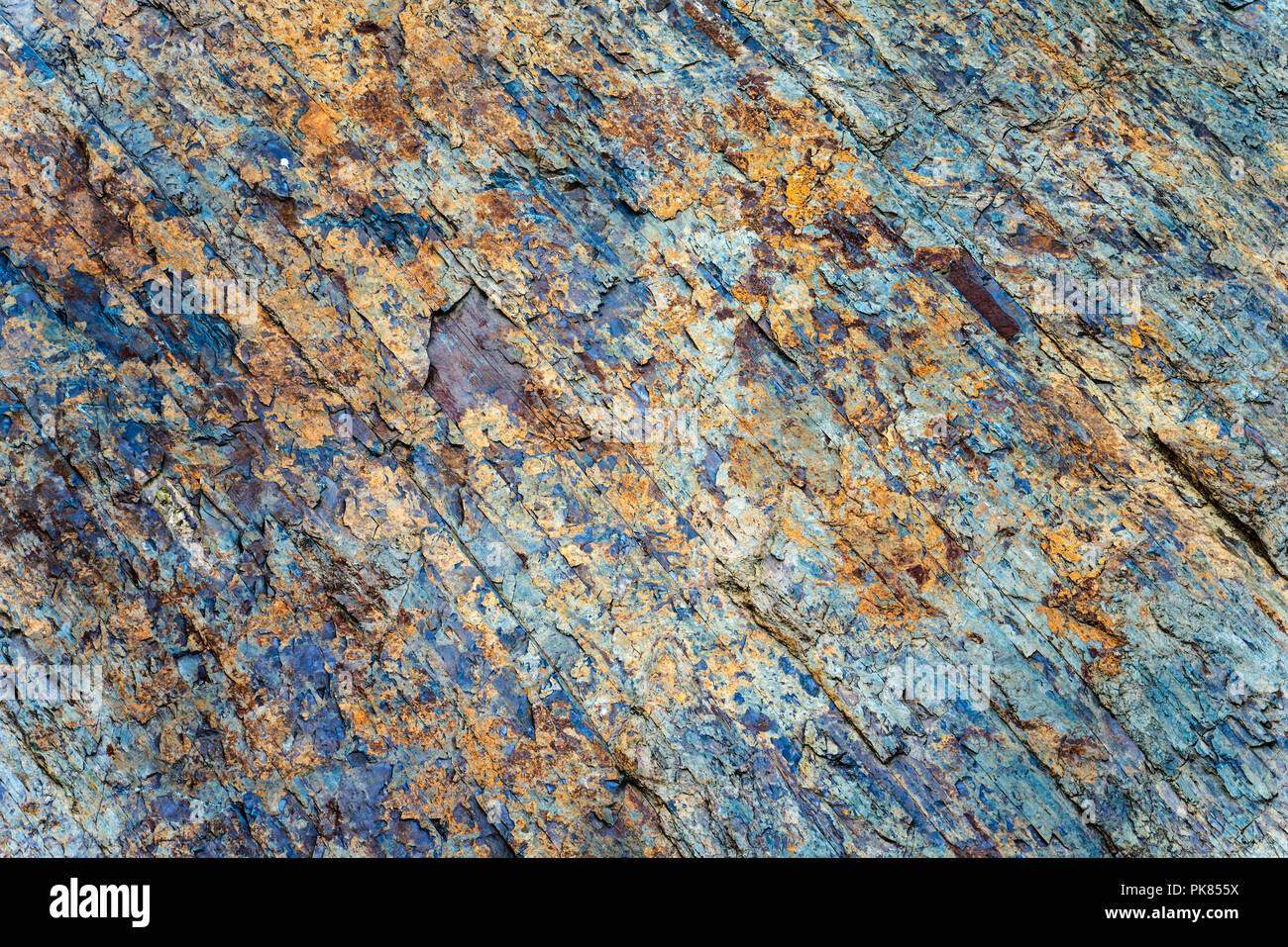 Slaty roccia naturale texture, Asel, lago Edersee, Hesse, Germania, Europa Foto Stock