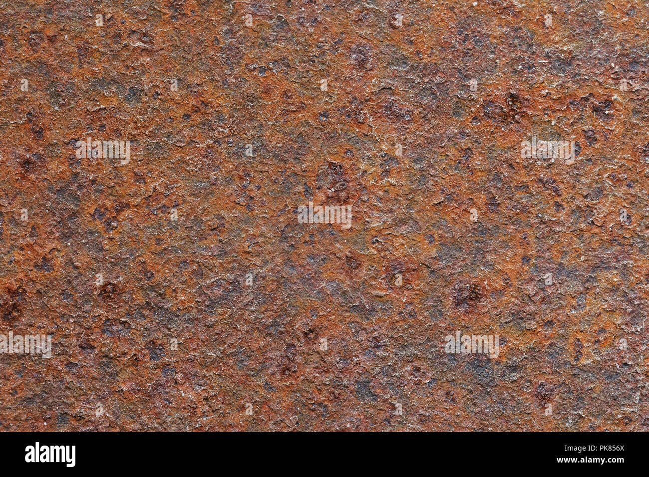 La texture di una superficie di un metallo arrugginito foglio close-up Foto Stock