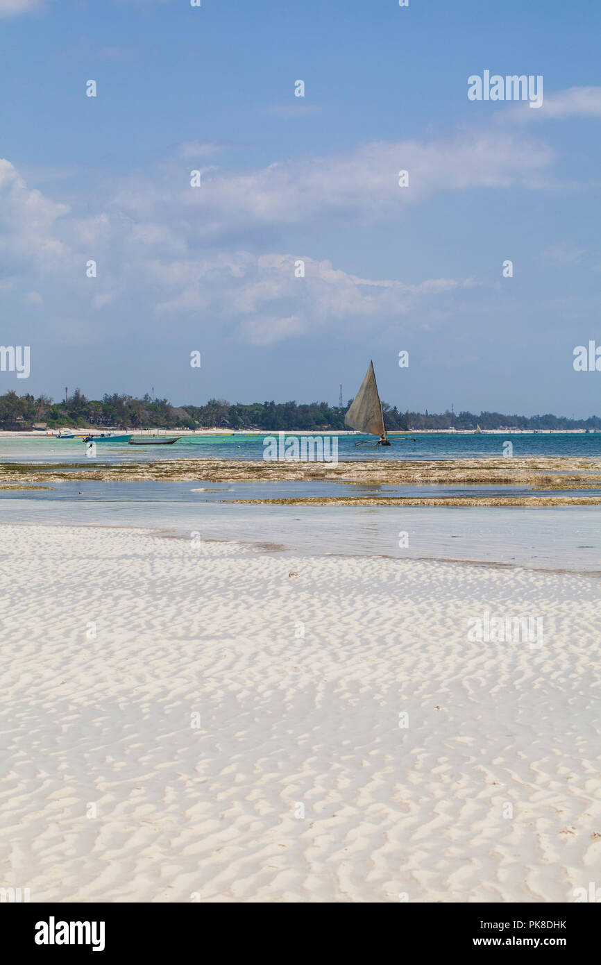 La bassa marea in un Galu Kinondo - spiaggia, Kenya Foto Stock