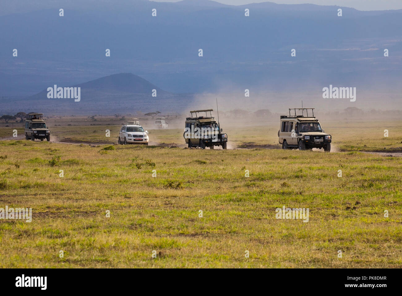 AMBOSELI NATIONAL PARK, KENYA - Febbraio 22, 2018: traffico in Amboseli - i turisti a guardare la famiglia Lions da un safari auto. Foto Stock
