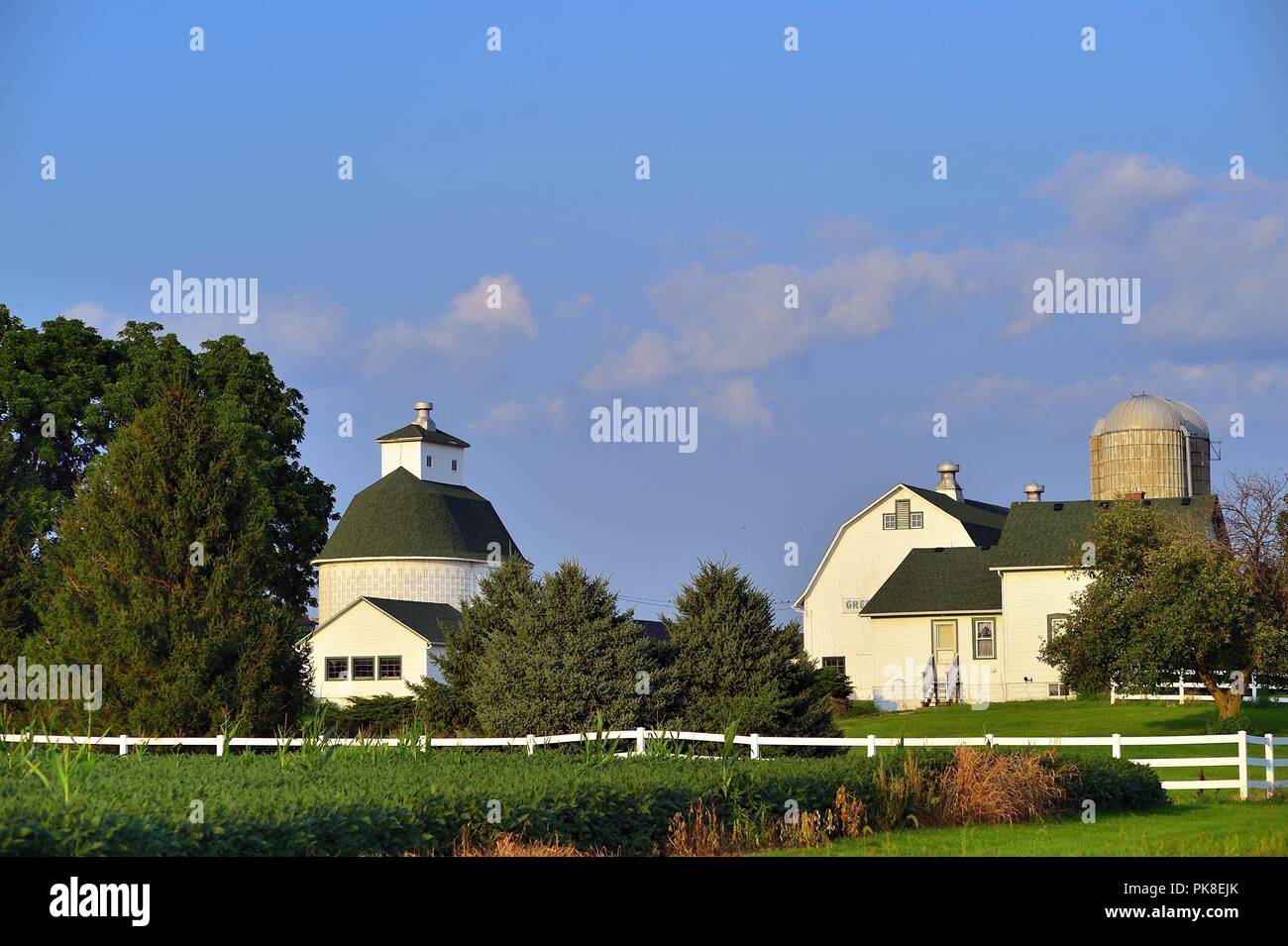 Virgilio, Illinois, Stati Uniti d'America. Un ben mantenuto casa colonica e fienili in un ambiente sereno nel nordest Illinois. Foto Stock