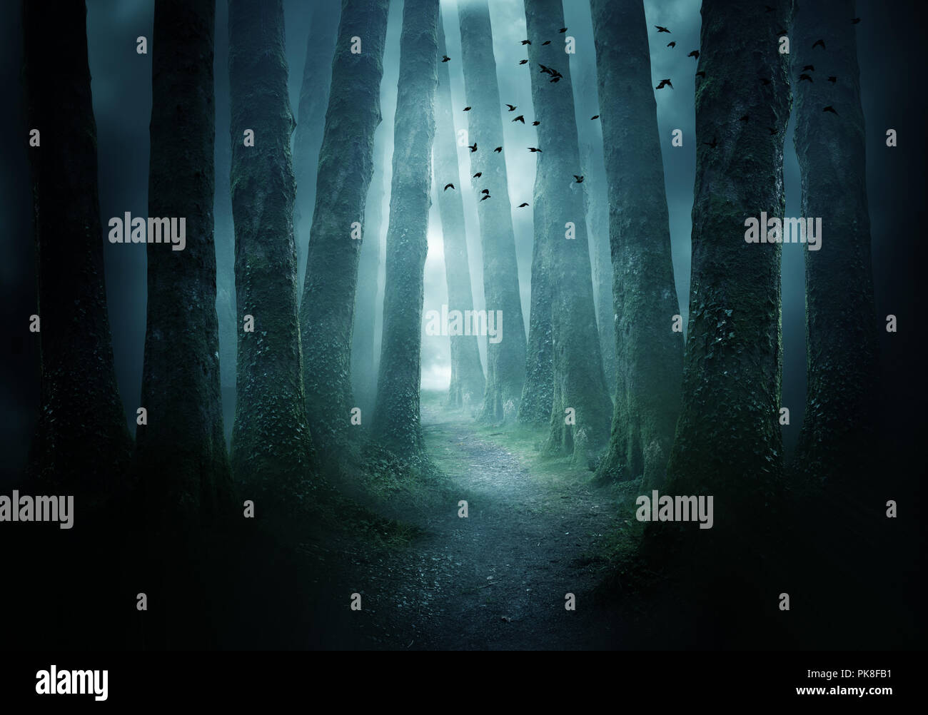 Un percorso tra gli alberi che conduce in un buio e nebbioso foresta. Foto Composite. Foto Stock