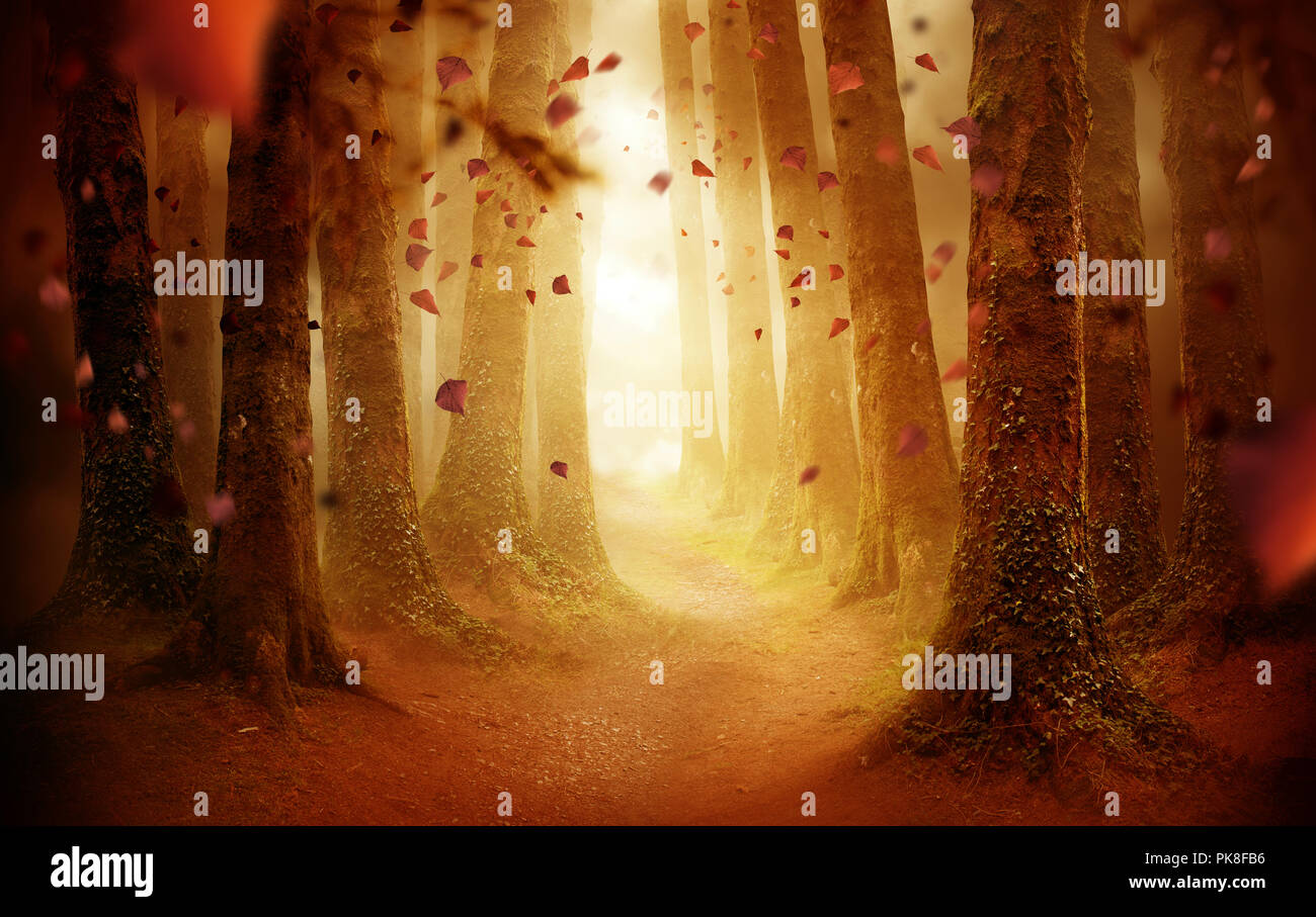 Un viale alberato sentiero che conduce in un autunno foresta colorati con foglie che cadono come il sole splende attraverso. Foto composite. Foto Stock Un viale alberato sentiero che conduce in un autunno foresta colorati con foglie che cadono come il sole splende attraverso. Foto composite. Foto Stock