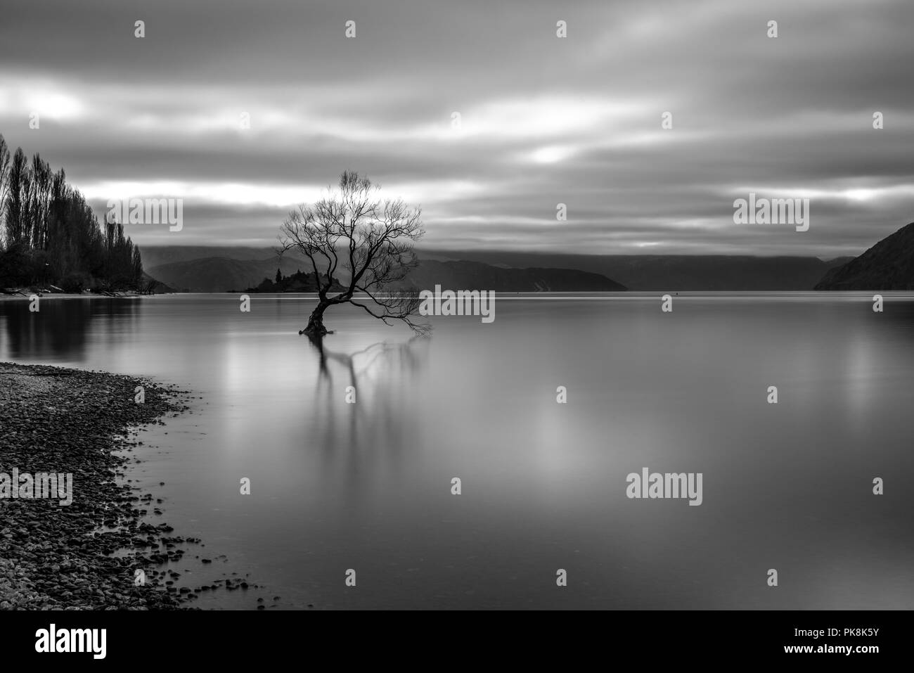 Una lunga esposizione di Wanaka Tree, Nuova Zelanda Foto Stock