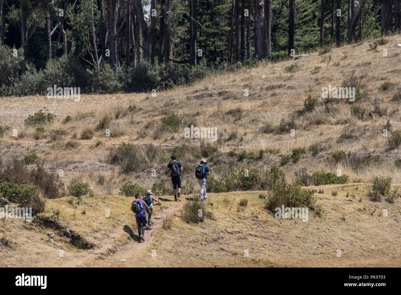 Un gruppo di escursionisti a piedi un sentiero nelle Ande vicino a Cusco, Perù. Foto Stock