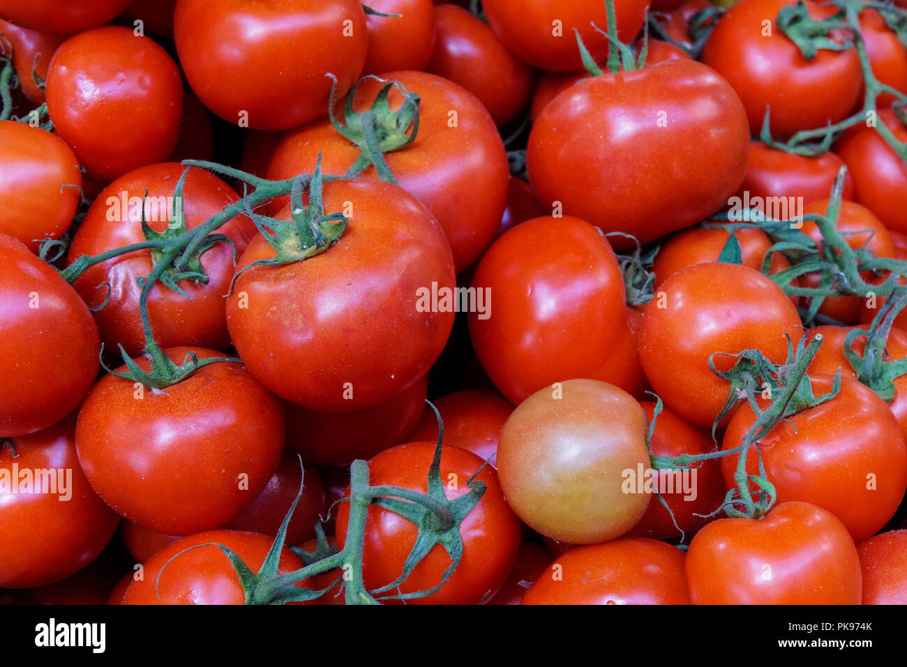 Pomodori freschi maturi al mercato locale Foto Stock