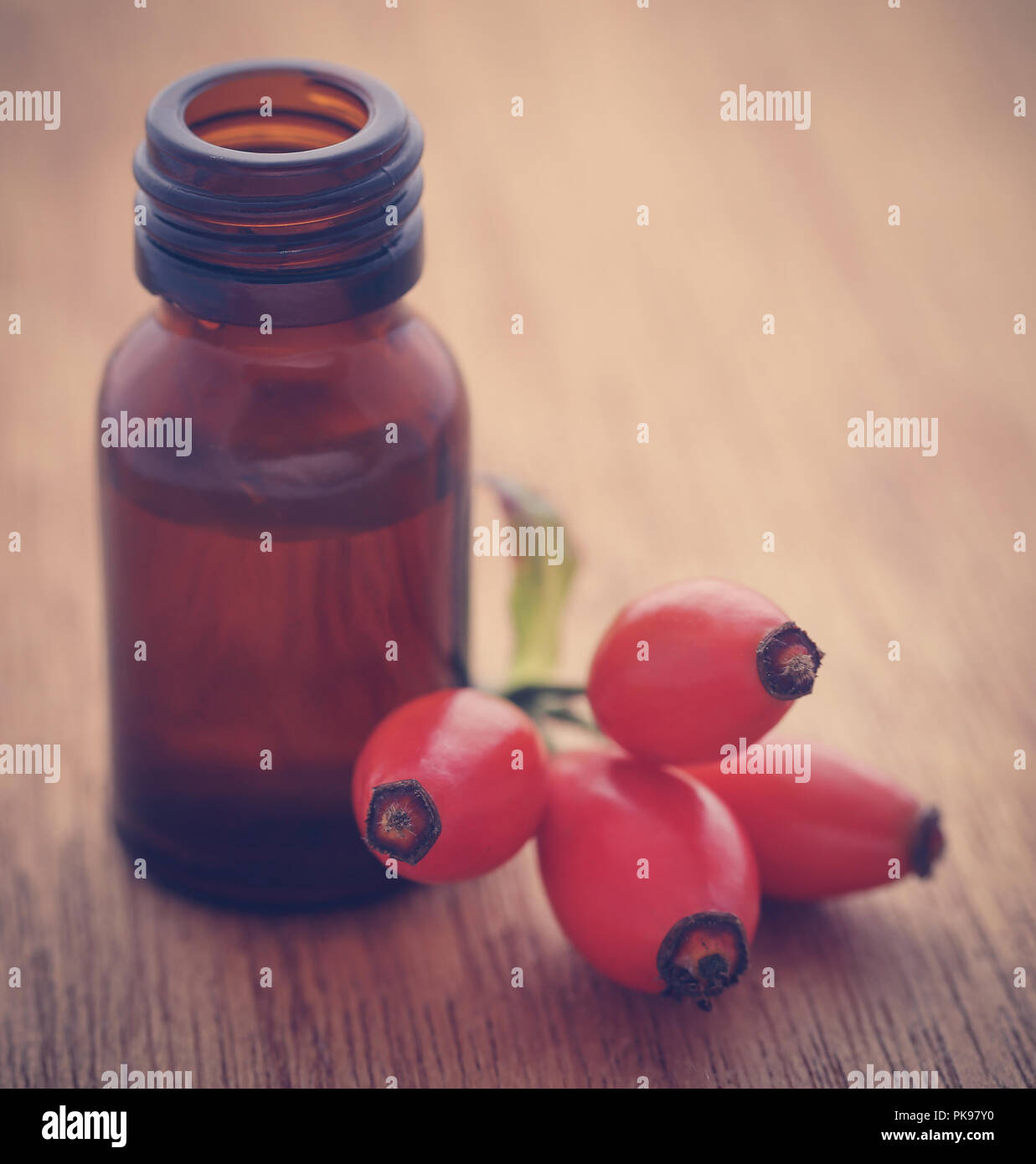 Rosa canina con estratto di olio essenziale in una bottiglia Foto Stock