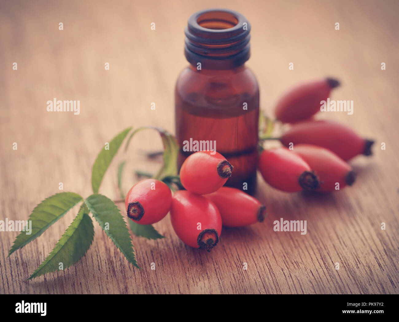 Rosa canina con estratto di olio essenziale in una bottiglia Foto Stock