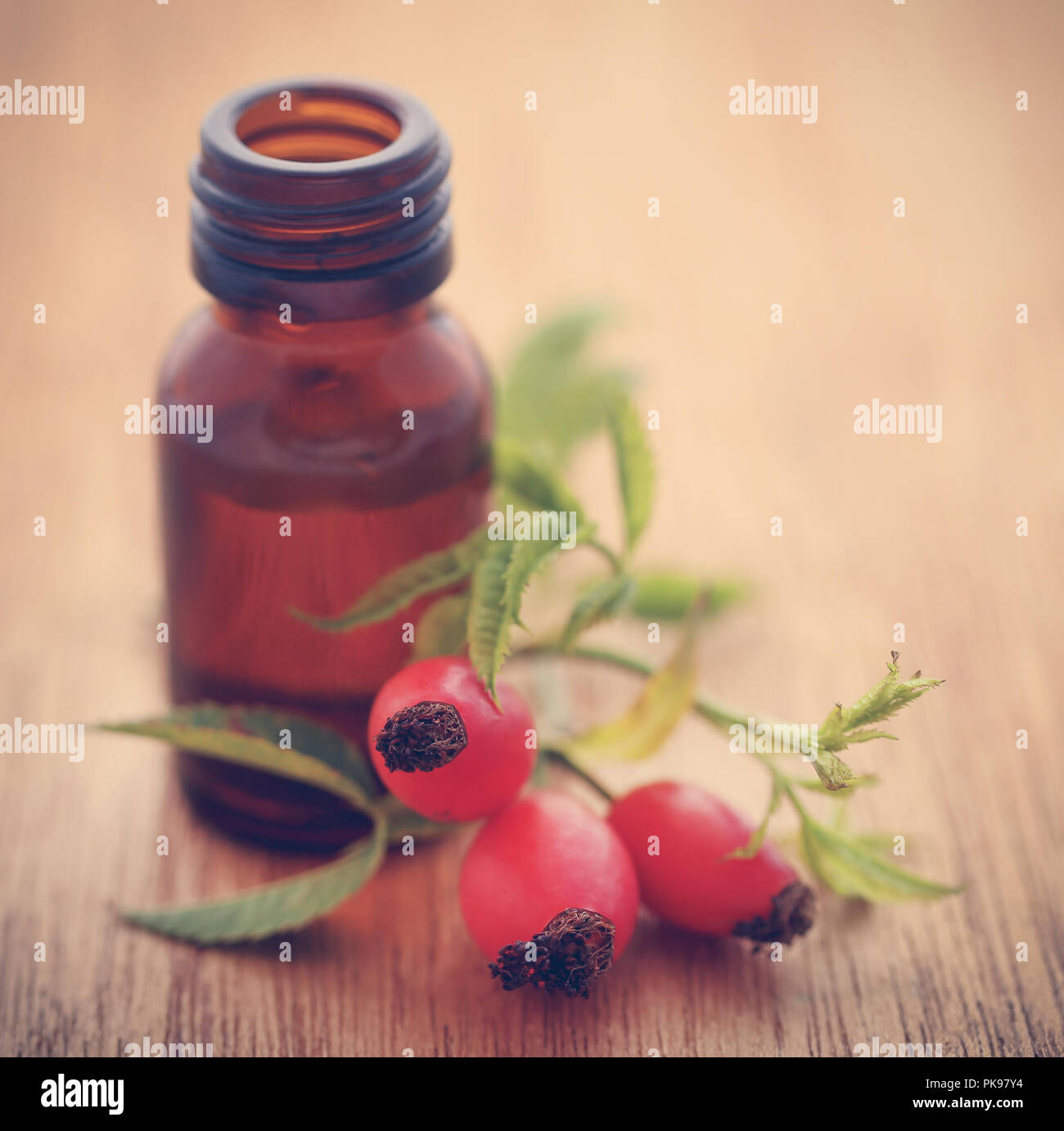 Rosa canina con estratto di olio essenziale in una bottiglia Foto Stock