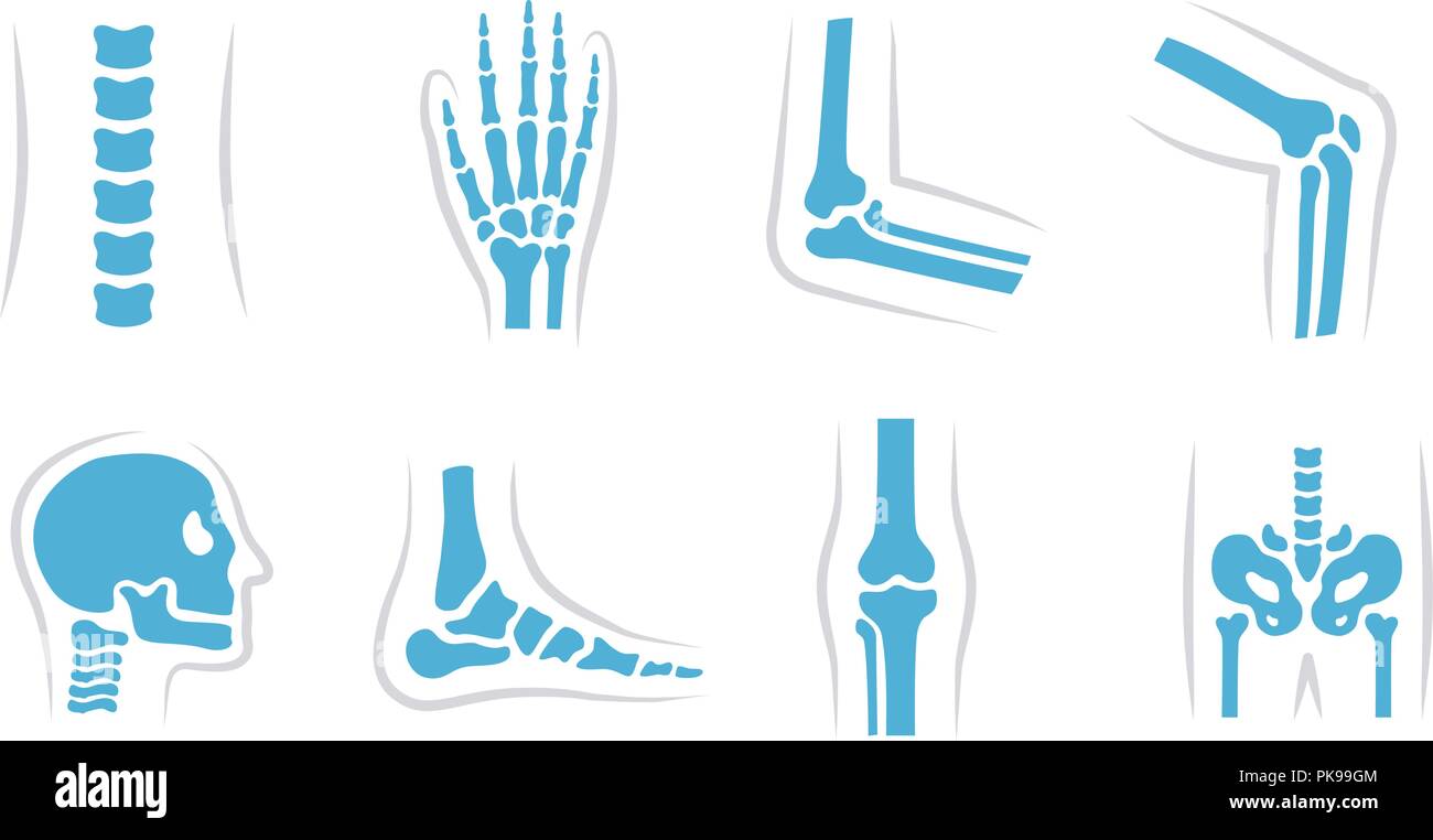 Set di vettore del ginocchio, gamba, bacino, scapola, cranio, gomito, piede, mano e altre icone. Ortopedia e lo scheletro di simboli su sfondo bianco. Articolazioni umane e le ossa. Illustrazione Vettoriale