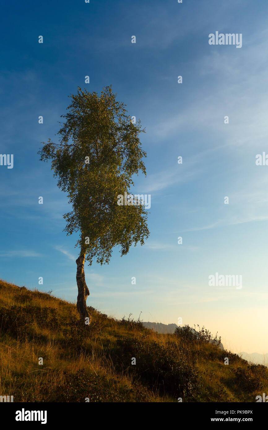 B,c,d,d,e Foto Stock
