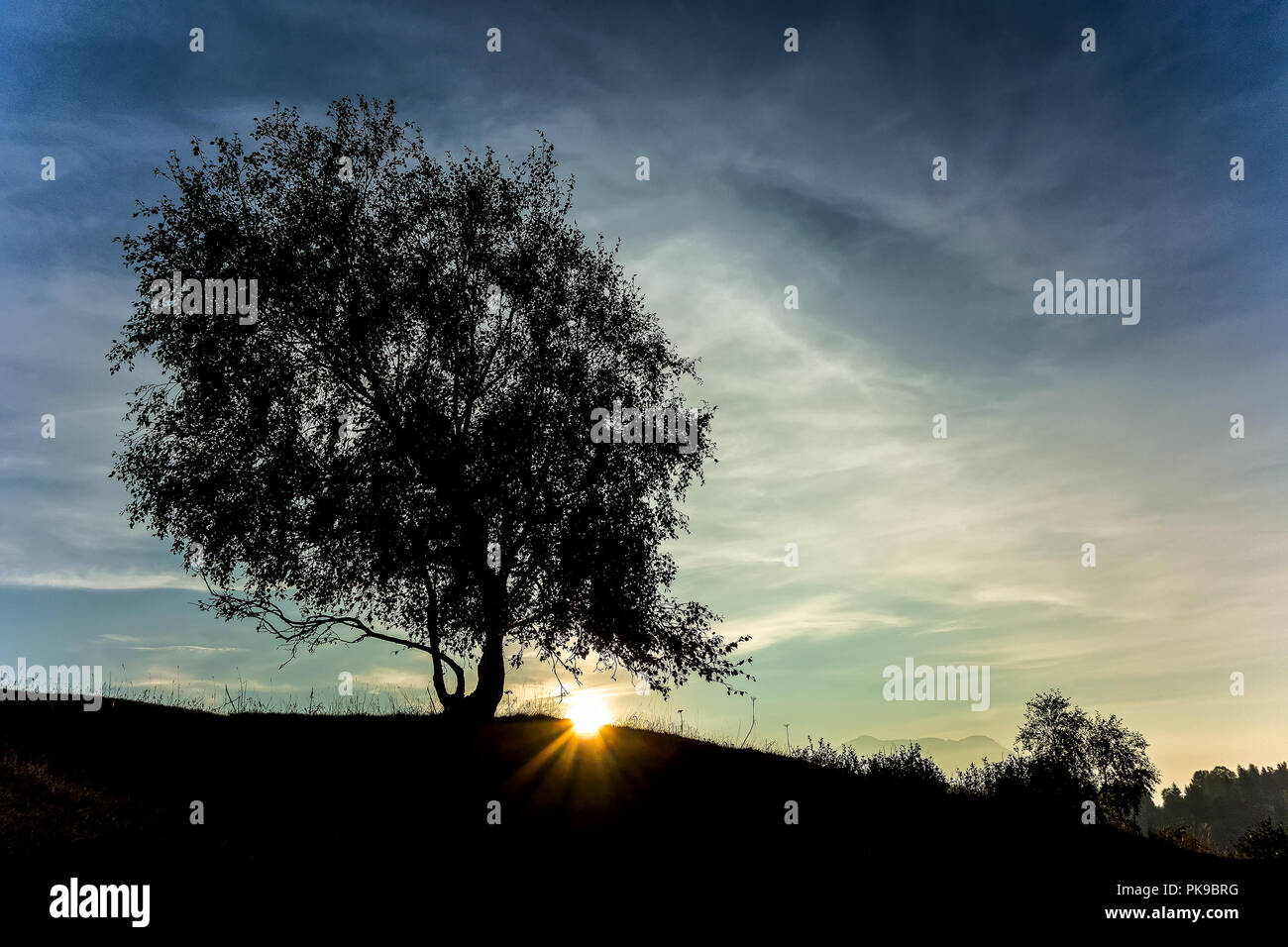 B,c,d,d,e Foto Stock