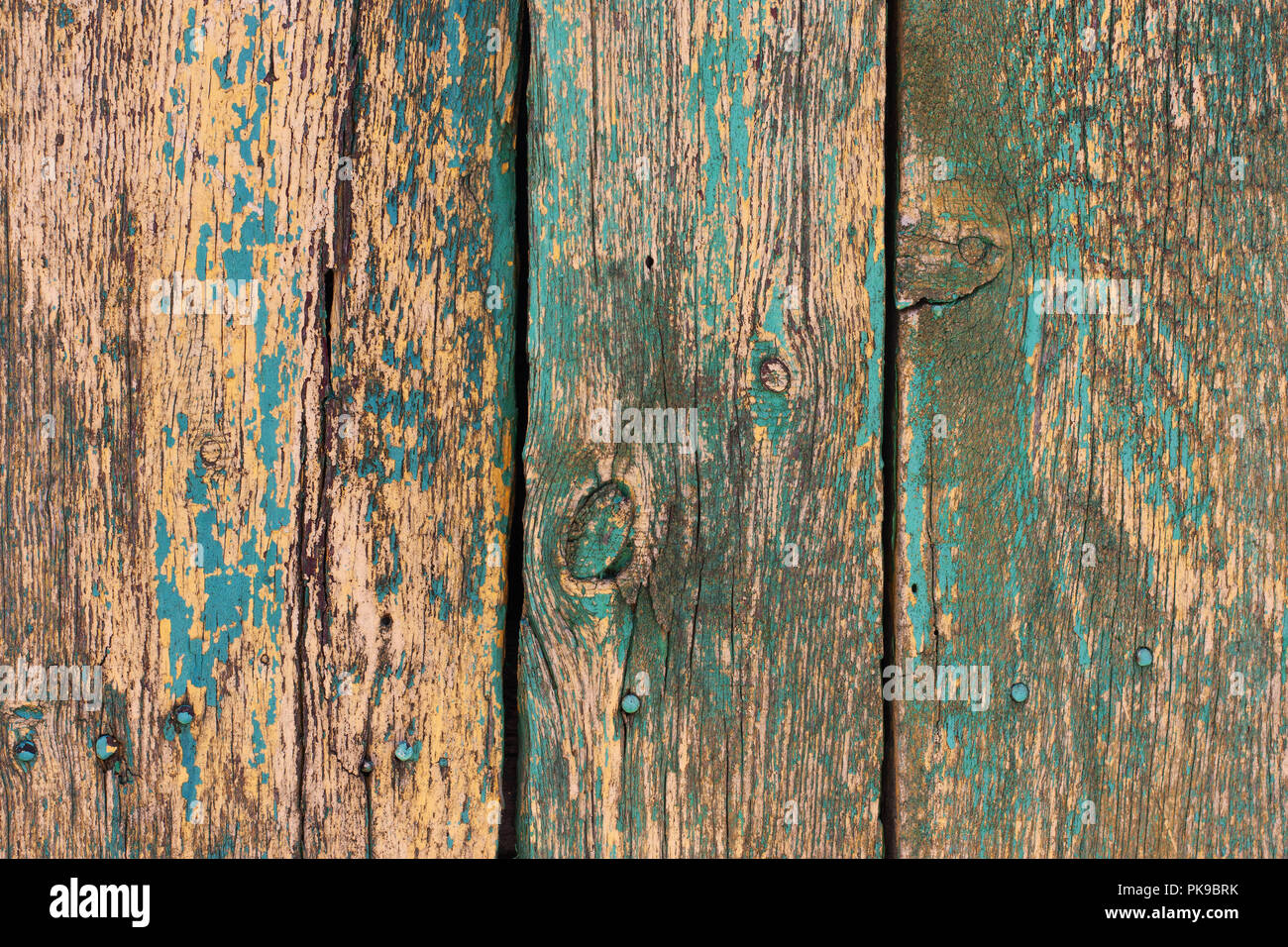Sfondo di vecchie schede di verde, con vernice squallido, con chiodi Foto Stock