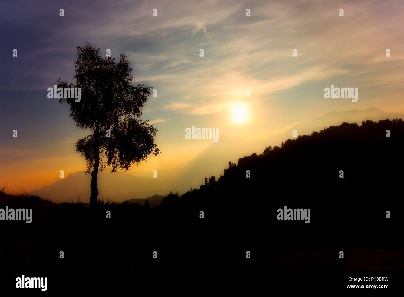 B,c,d,d,e Foto Stock