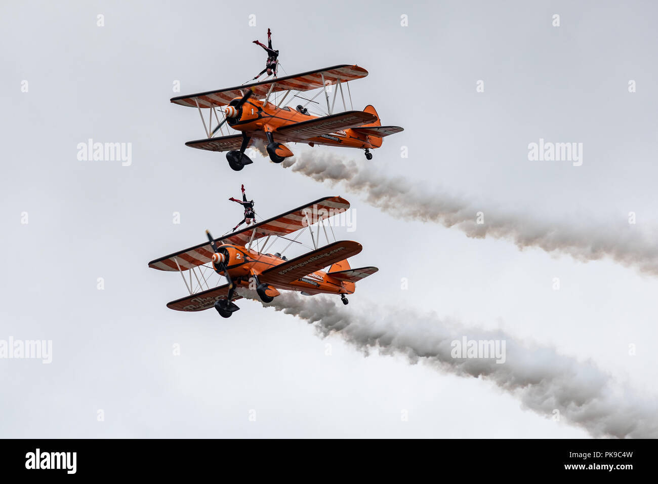 Wingwalkers eseguire le verticali come loro Boeing Stearman biplani volare in stretta formazione Foto Stock