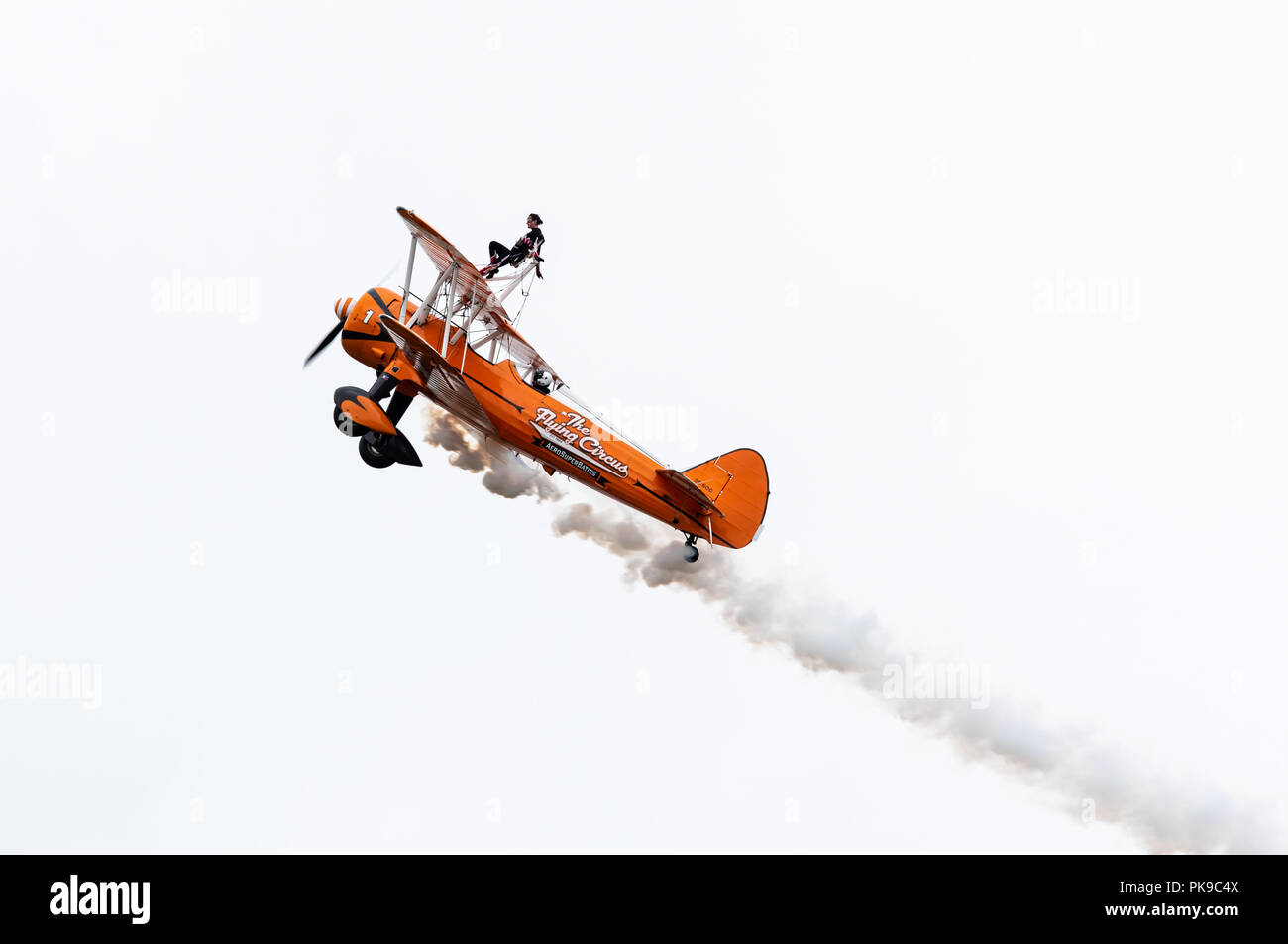 Un ala AeroSuperBatics walker appoggia la schiena contro il suo cablaggio come Boeing Stearman biplano sale ripida Foto Stock