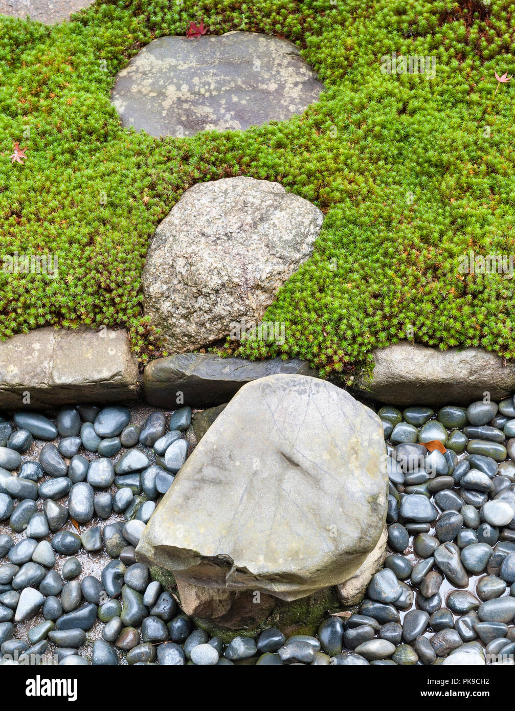 Daitoku-ji, Kyoto, Giappone. I giardini di Korin-in tempio zen, fondata nel 1520. Un semplice percorso attraverso il giardino di muschio Foto Stock