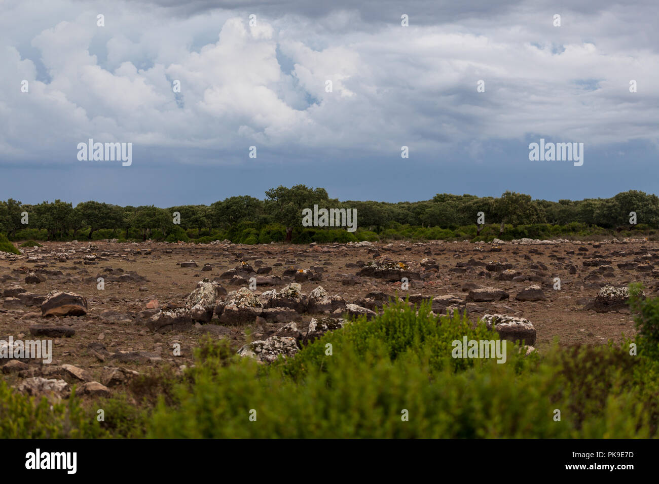 Alta situata area della Giara di Gesturi in un giorno di tempesta Sardegna - Italia Foto Stock