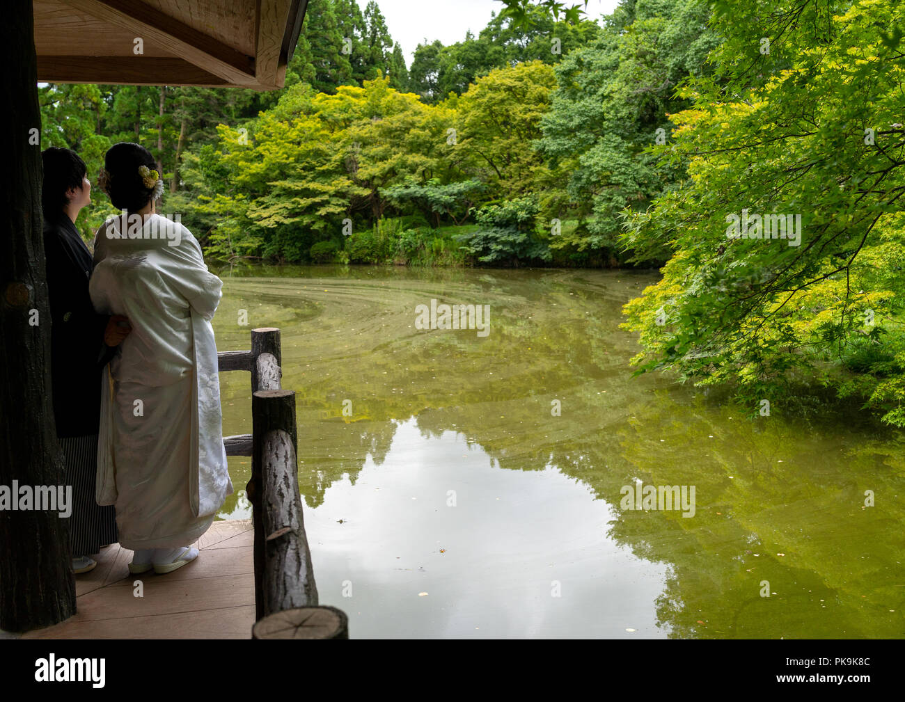 Coppia di sposini guardando lo stagno del giardino botanico, la regione di Kansai, Kyoto, Giappone Foto Stock