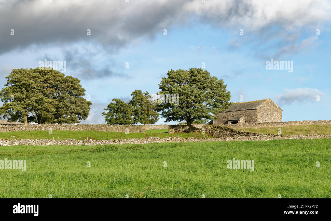 Campo Granaio, Wilson cicatrice, sopra Bampton Grange, Cumbria Foto Stock