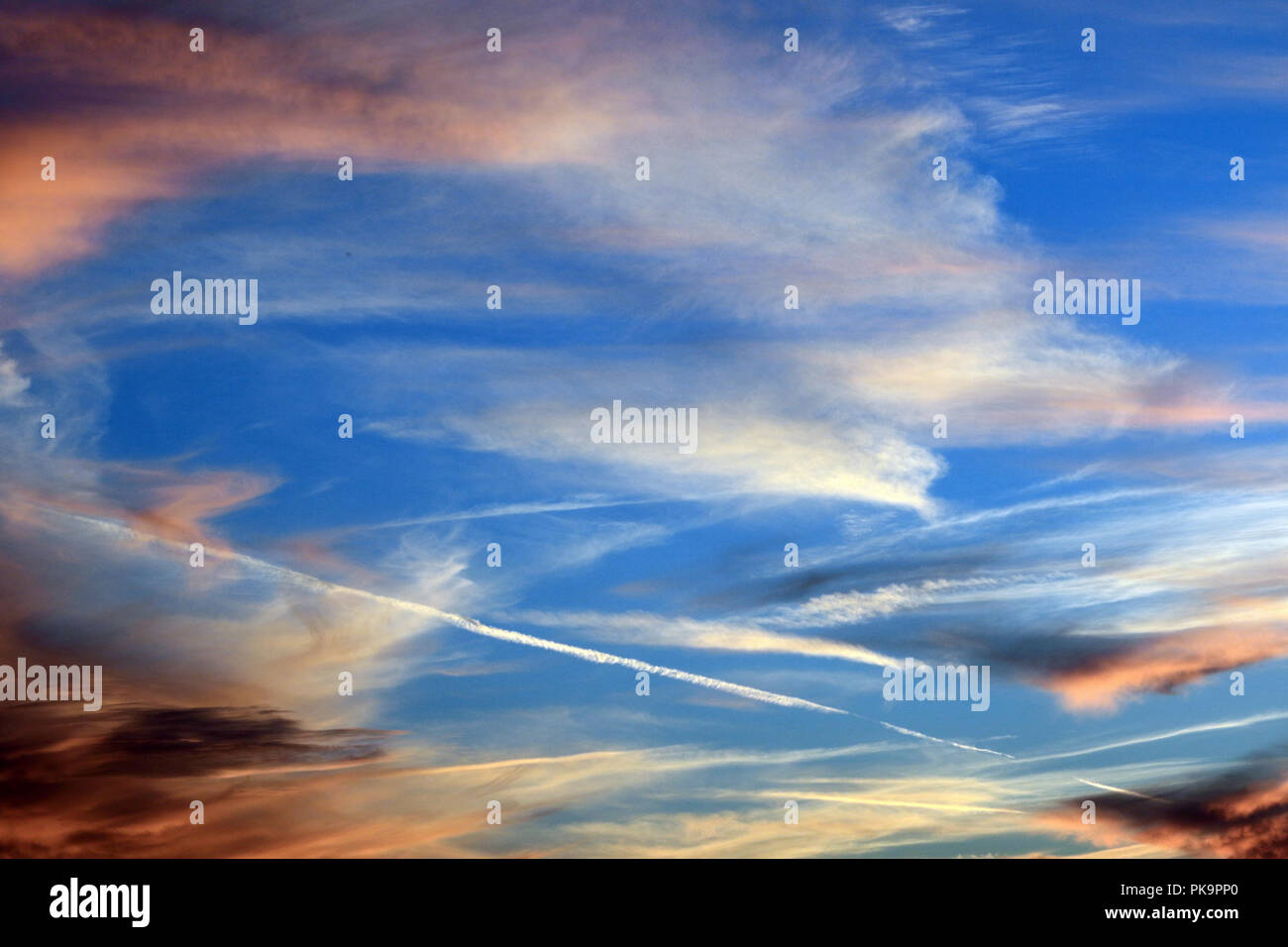 Di seguito è riportato un progetto di sfondo che può essere utilizzato per molte applicazioni. È stato originariamente progettato come sfondo di una carta di credito. Isolato su bianco. Foto Stock