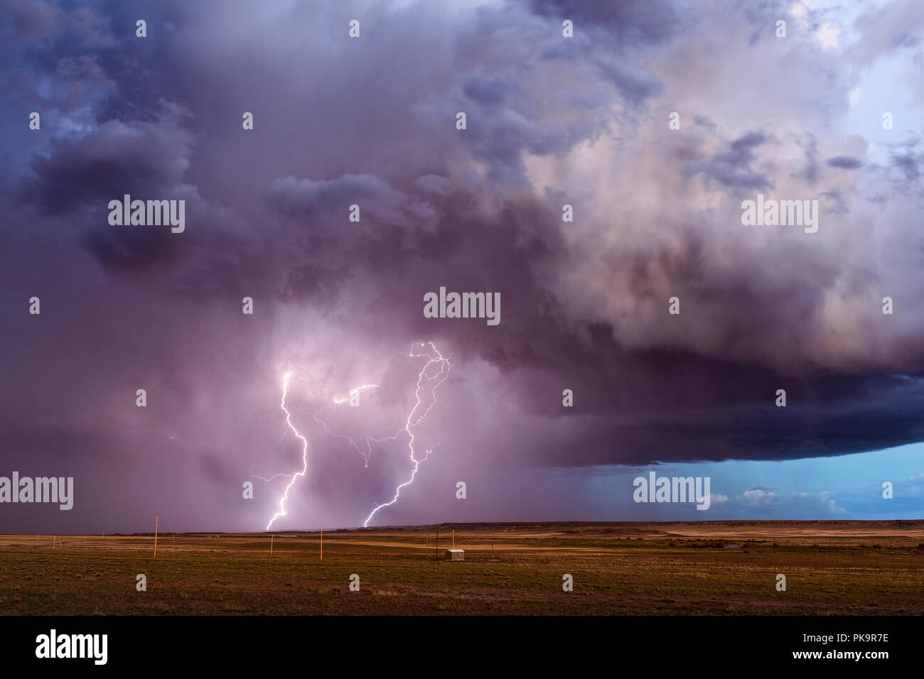 Fulmine in una tempesta di tuoni sopra il Parco Nazionale della Foresta di pietra vicino a Holbrook, Arizona Foto Stock