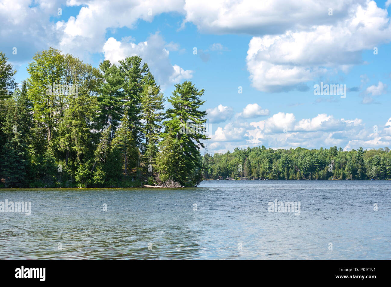Lago Blu foderato con naturale coste orlate da alberi Foto Stock