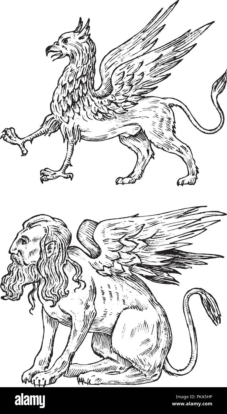 Animali mitologici. Mitico Sphinx e antichi Griffin. Antica uccelli, creature fantastiche in vecchio stile vintage. Incisi disegnati a mano il vecchio sketch. Illustrazione Vettoriale