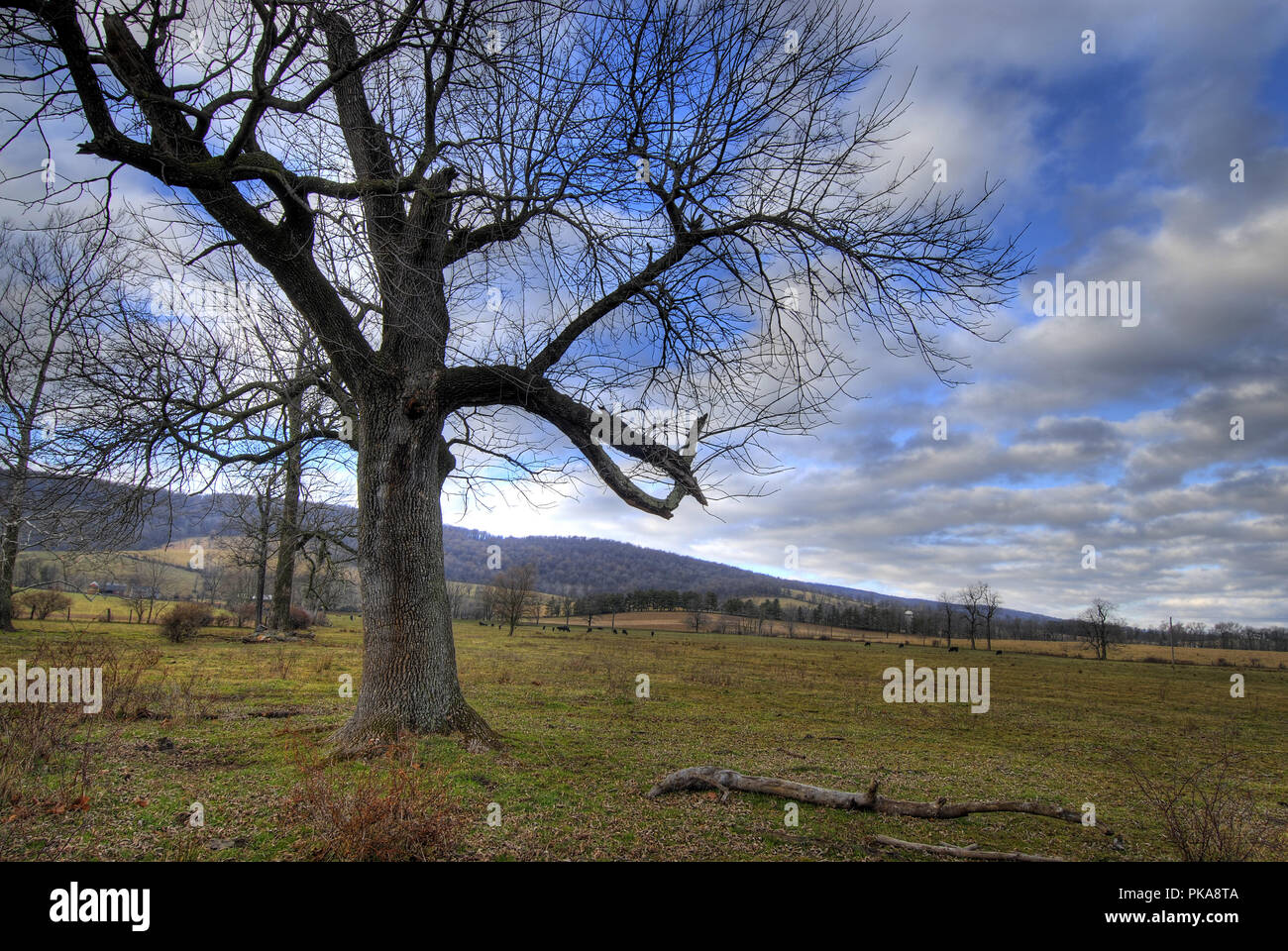 Questa vista della Western Loudoun County Virginia è guardando a Nord Ovest lungo le Blue Ridge Mountains da te villaggio di Bluemont. Loudoun County Virginia Foto Stock