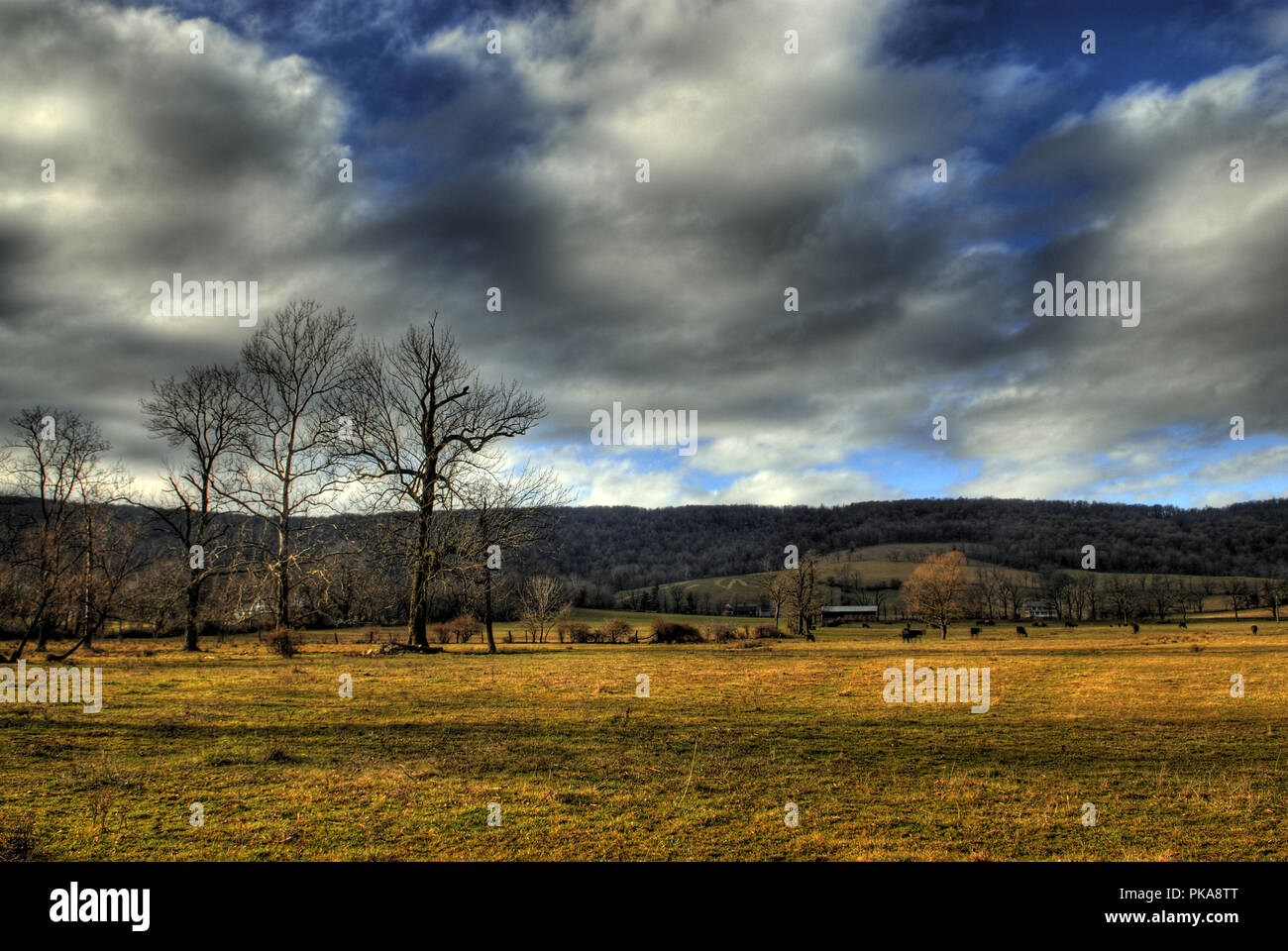 Questa vista della Western Loudoun County Virginia è guardando a Nord Ovest lungo le Blue Ridge Mountains da te villaggio di Bluemont. Loudoun County Virginia Foto Stock