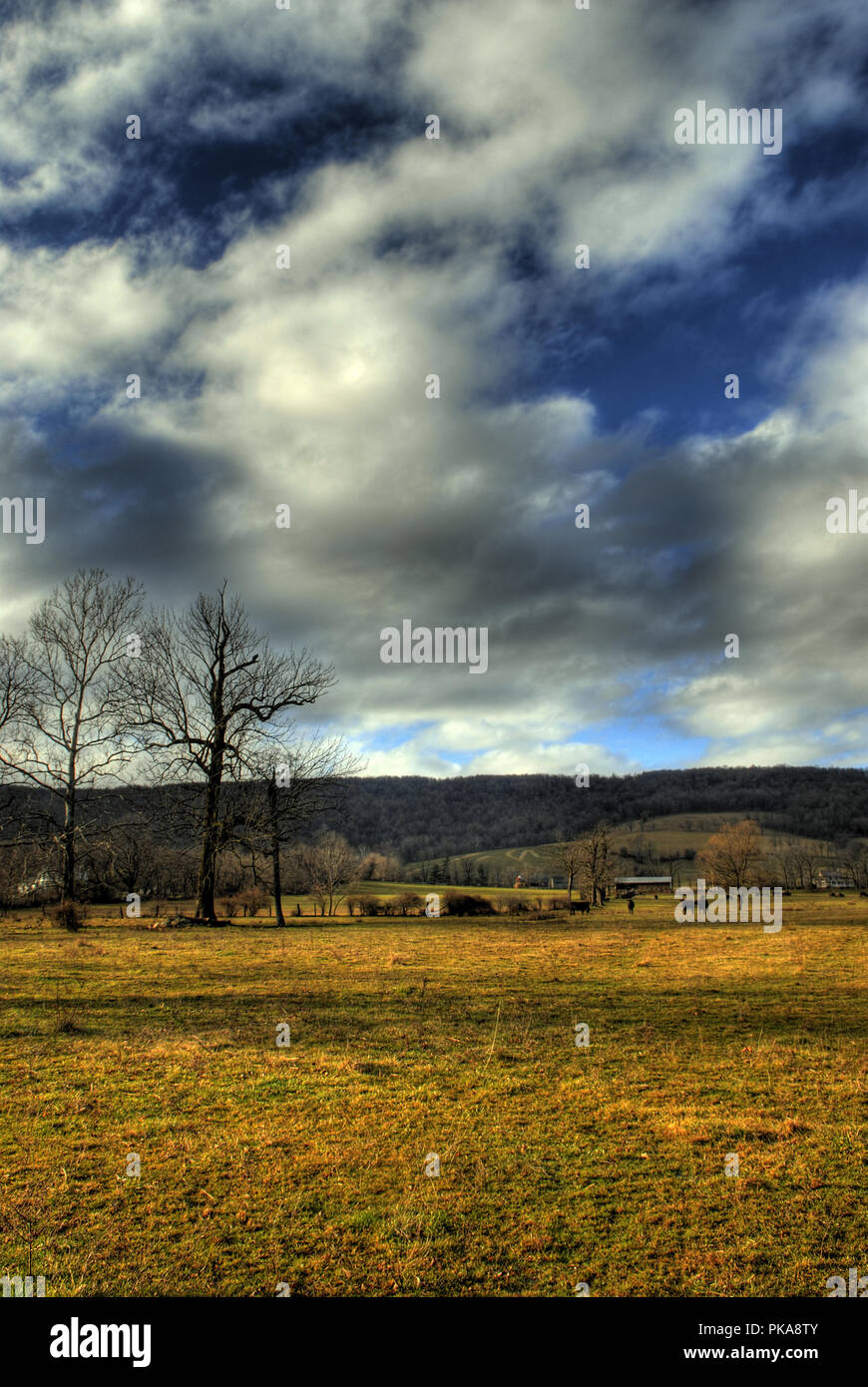 Questa vista della Western Loudoun County Virginia è guardando a Nord Ovest lungo le Blue Ridge Mountains da te villaggio di Bluemont. Loudoun County Virginia Foto Stock