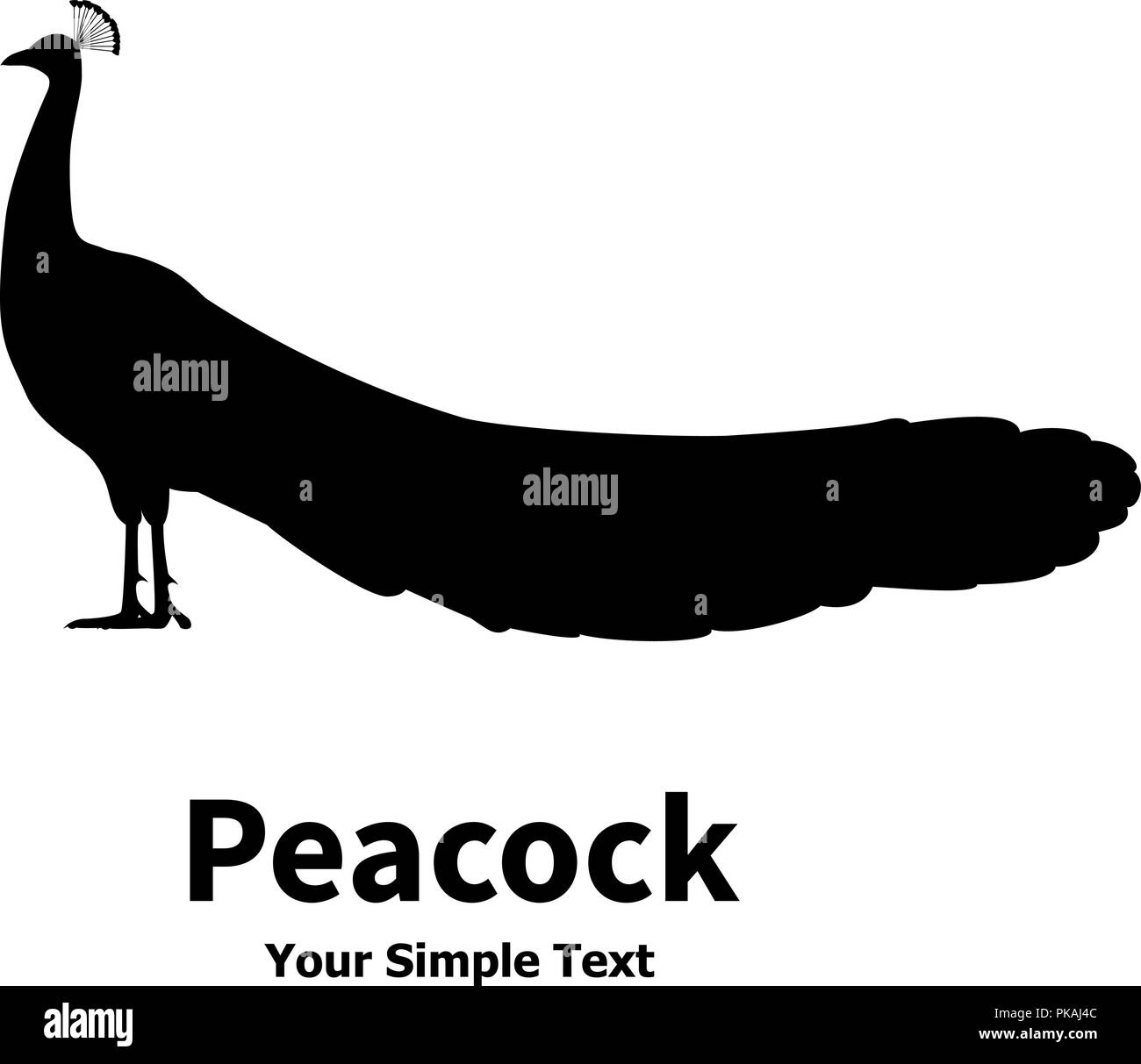 Illustrazione vettoriale di una silhouette di un pavone Illustrazione Vettoriale