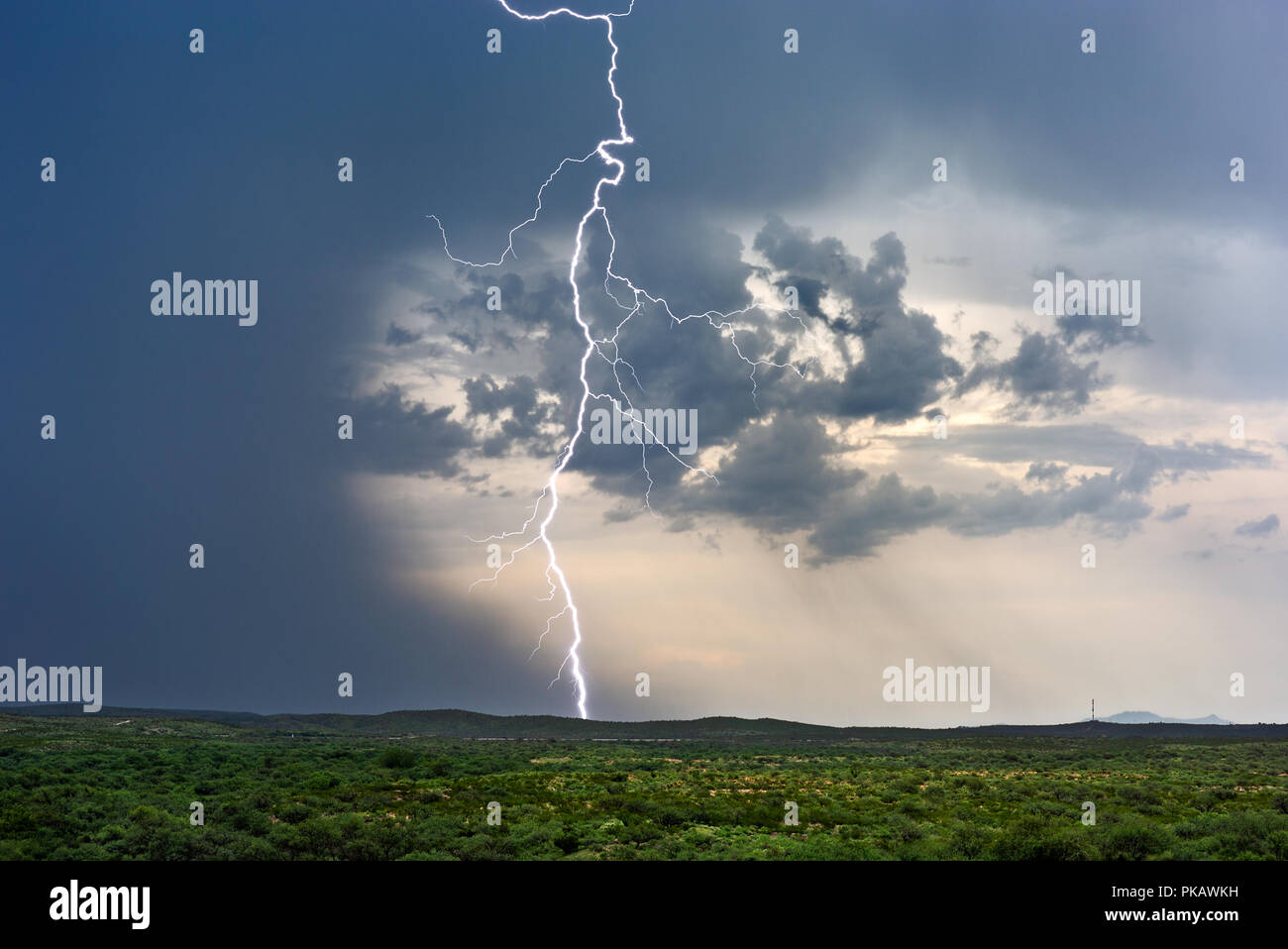 Un potente fulmine ad aria libera colpisce da una tempesta di tuoni nei pressi di Tucson, Arizona Foto Stock