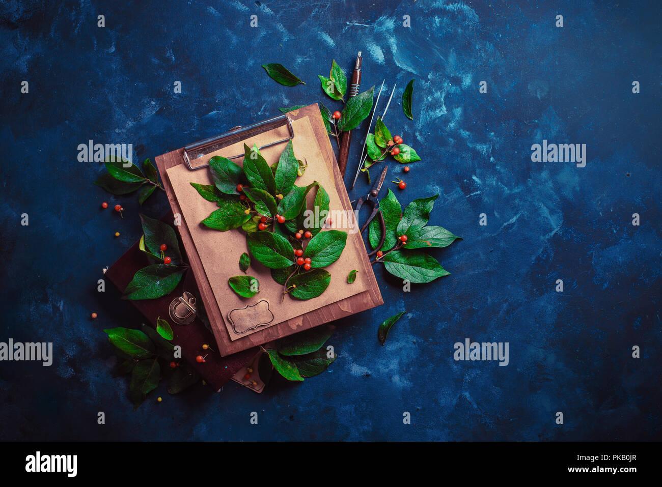 Piatto floreale lay con copia spazio. Ramo di albero con il verde delle foglie e bacche su una tavola di legno negli appunti. Botanico o progetto scuola concetto. Foto Stock