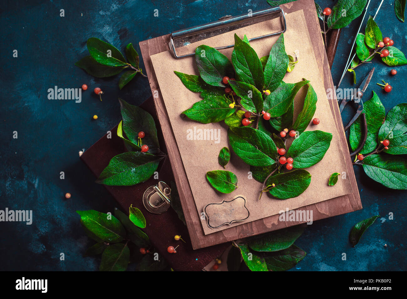 Piatto floreale lay con copia spazio. Ramo di albero con il verde delle foglie e bacche su una tavola di legno negli appunti. Botanico o progetto scuola concetto. Foto Stock