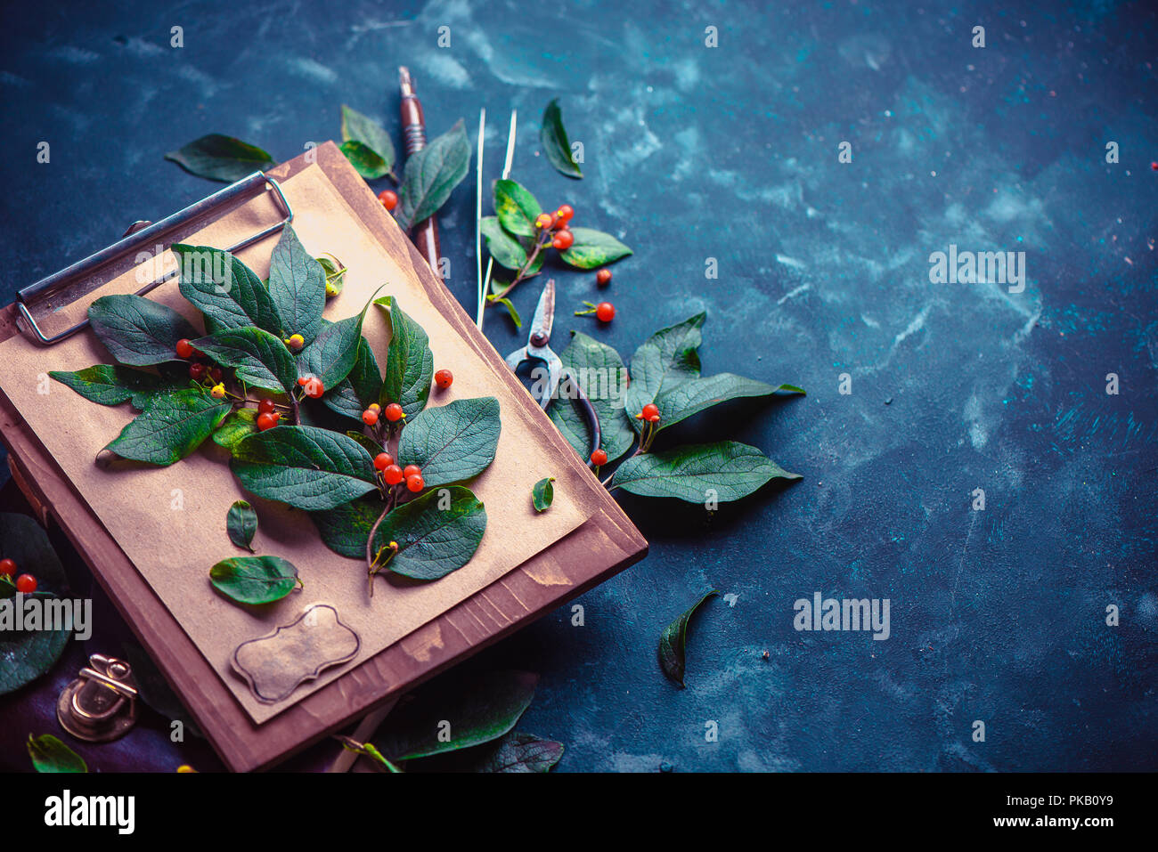 Ramo di albero con il verde delle foglie e bacche su una tavola di legno negli appunti. Botanico o progetto scuola concetto. Floral close-up con spazio di copia Foto Stock