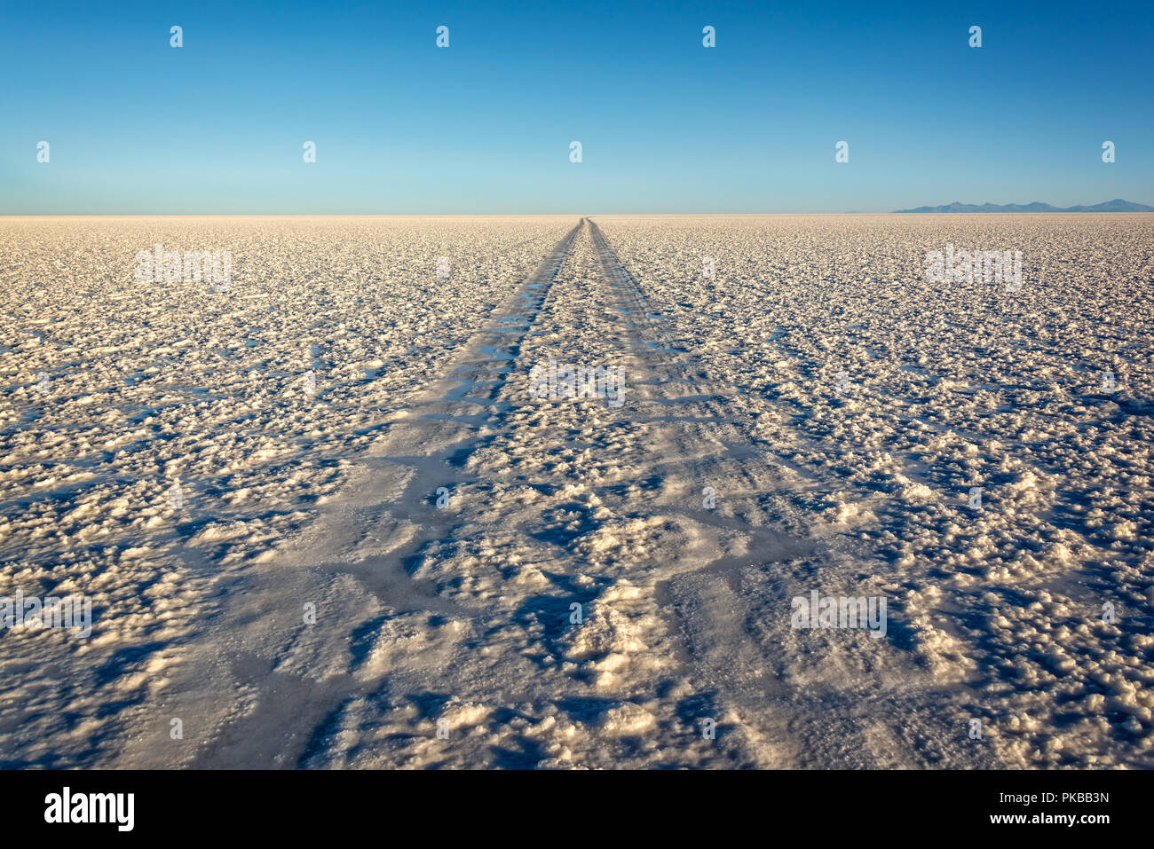 Tracce di auto in Salar de Uyuni (Uyuni saline), Potosi, Bolivia, Sud America Foto Stock