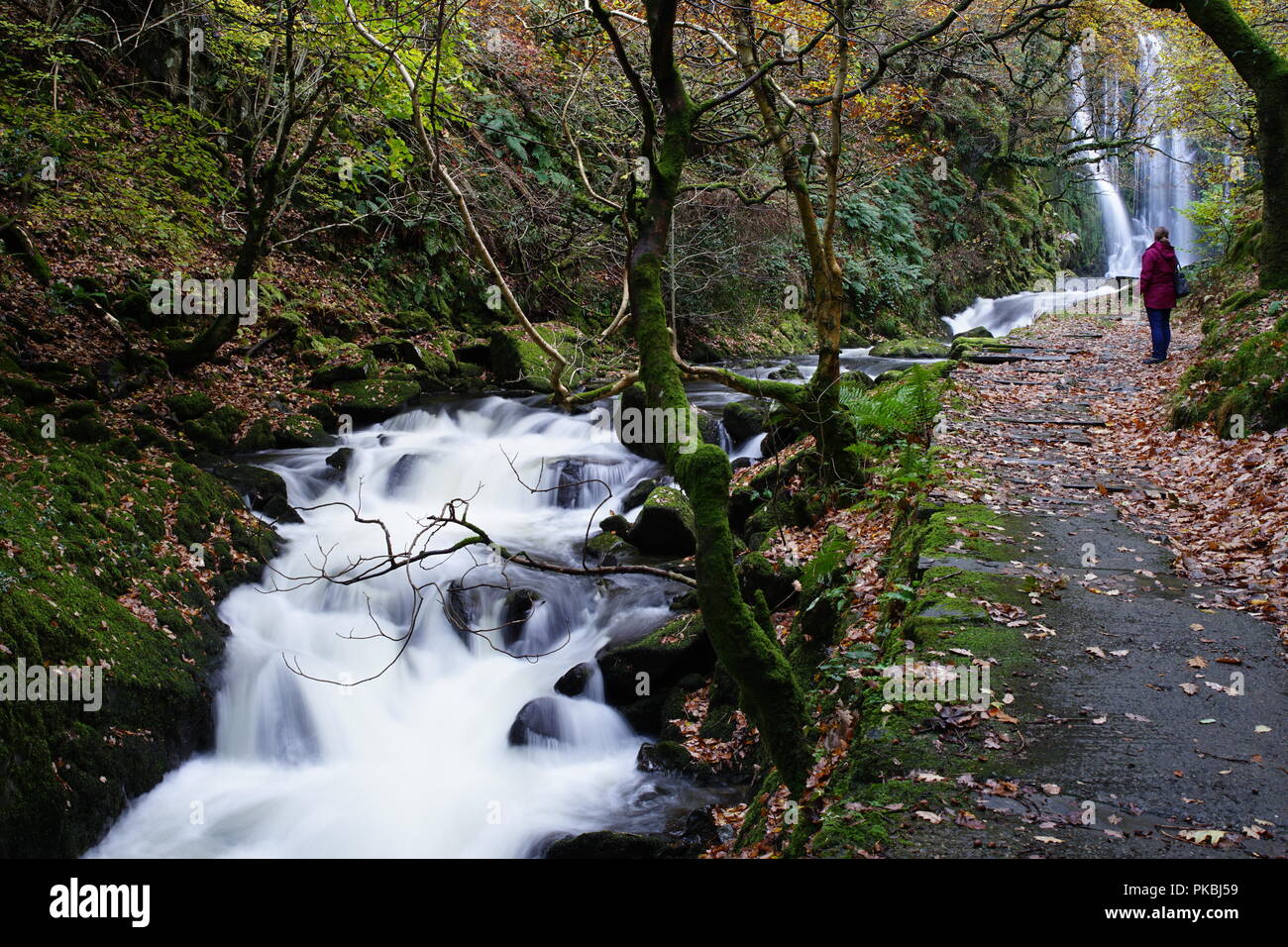 Ceunant Mawr cascata, Llanberis, Gwynedd. Bellissima e molto facile accesso. Immagine presa nel novembre 2016. Foto Stock