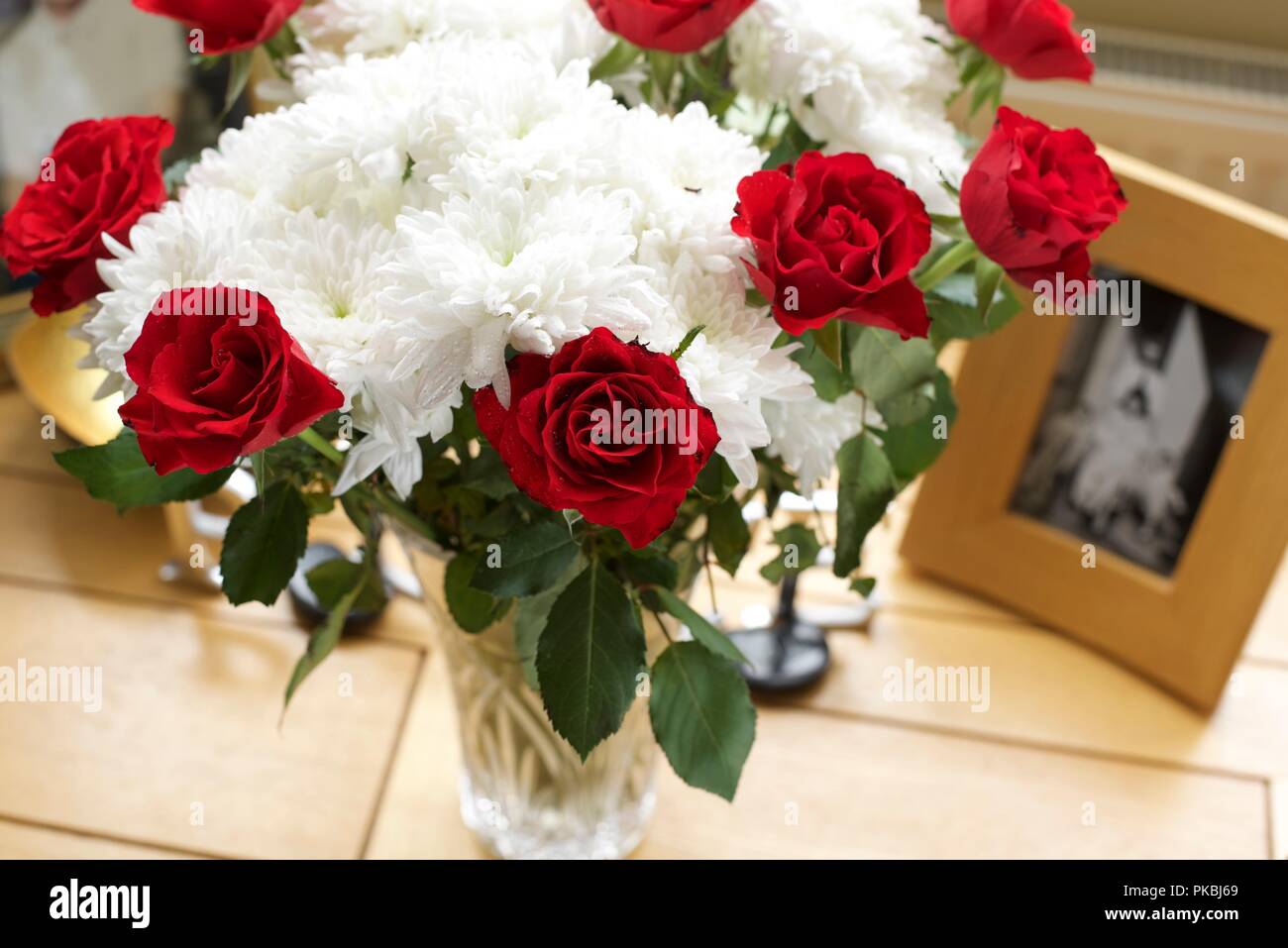 Le rose sono rosse Foto Stock