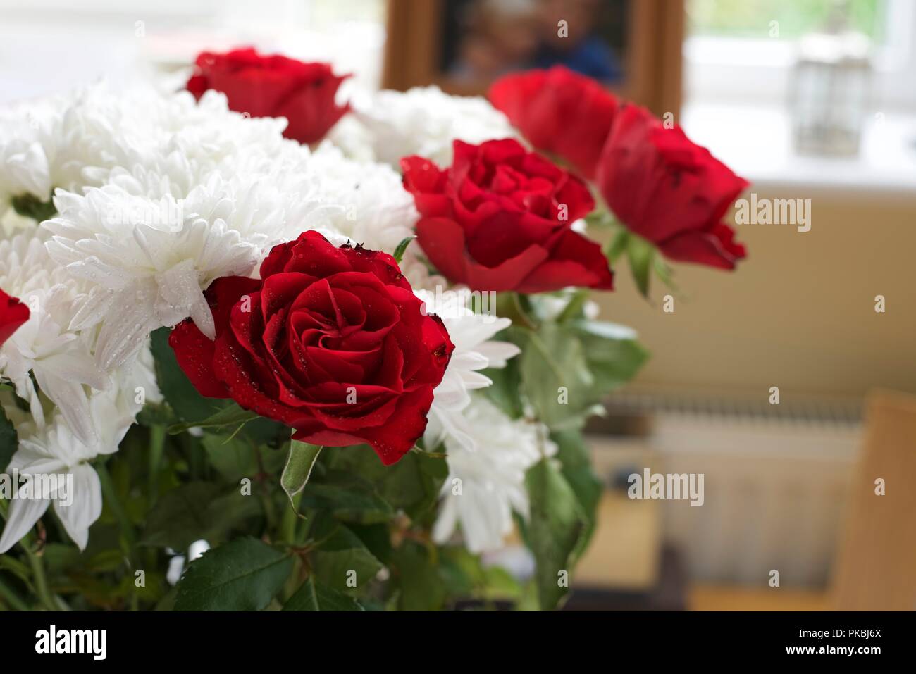 Le rose sono rosse Foto Stock