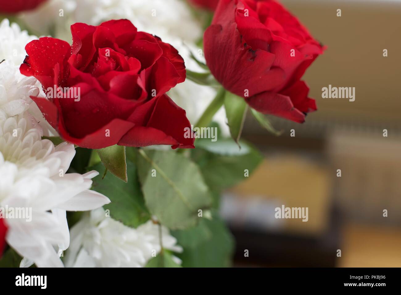 Le rose sono rosse Foto Stock