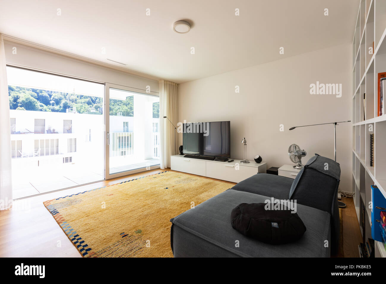 Soggiorno moderno, con un tappeto moderno Foto Stock