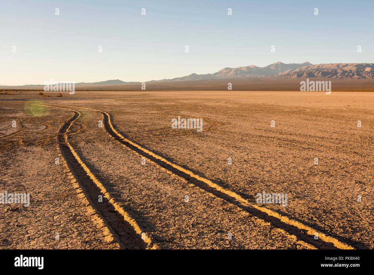 Tracce di pneumatici attraverso un dry lake bed portano l'occhio verso una gamma di montagna all'alba; Barreal, San Juan, Argentina Foto Stock