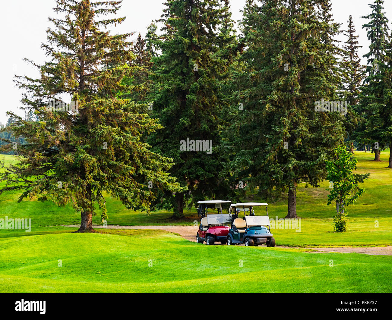 Due carrelli da golf seduti su un percorso di un campo da golf su una bellissima serata da sole; Edmonton, Alberta, Canada Foto Stock