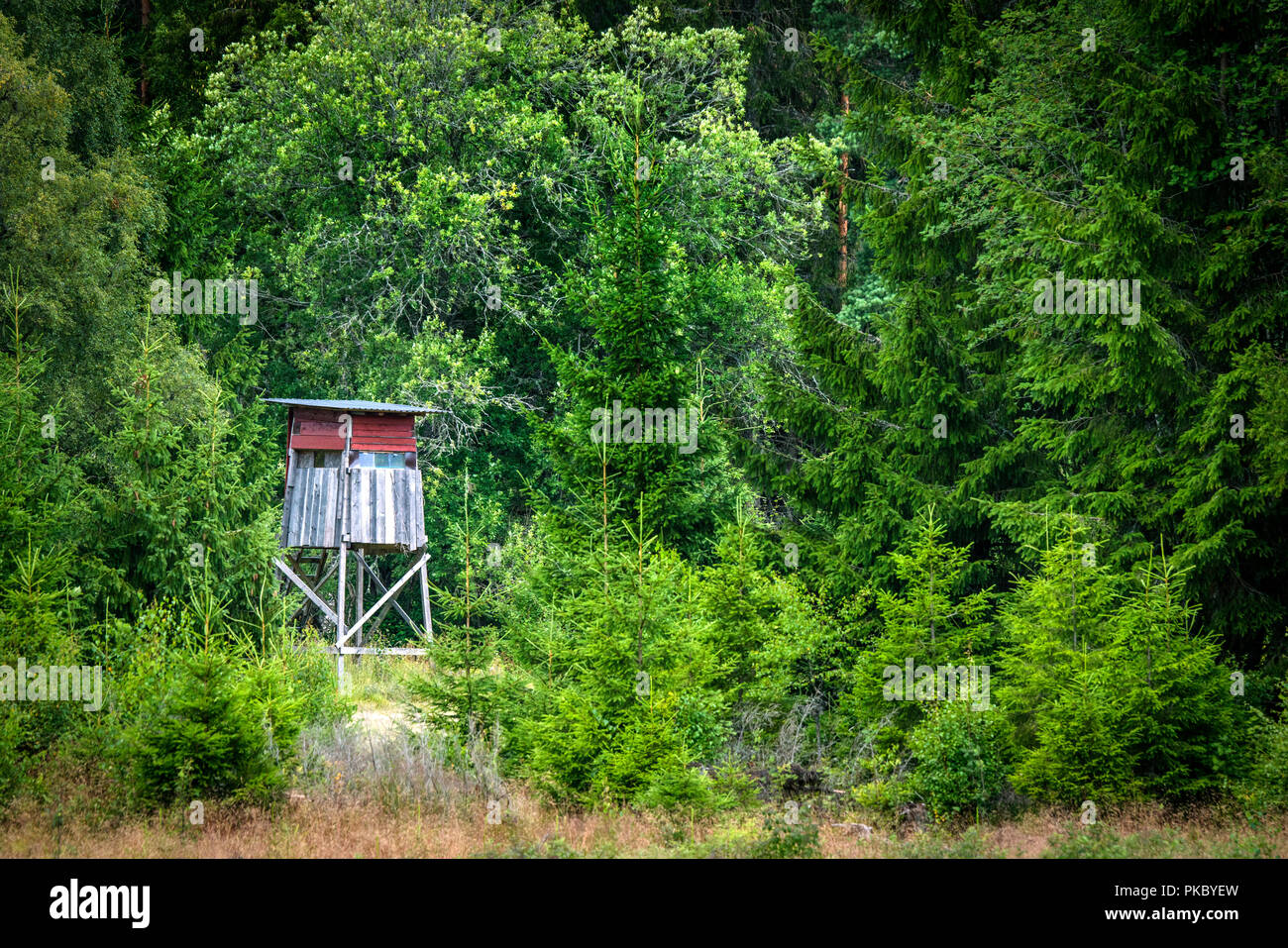 In legno torre di caccia in una foresta verde in estate con rosso tavole dipinte Foto Stock