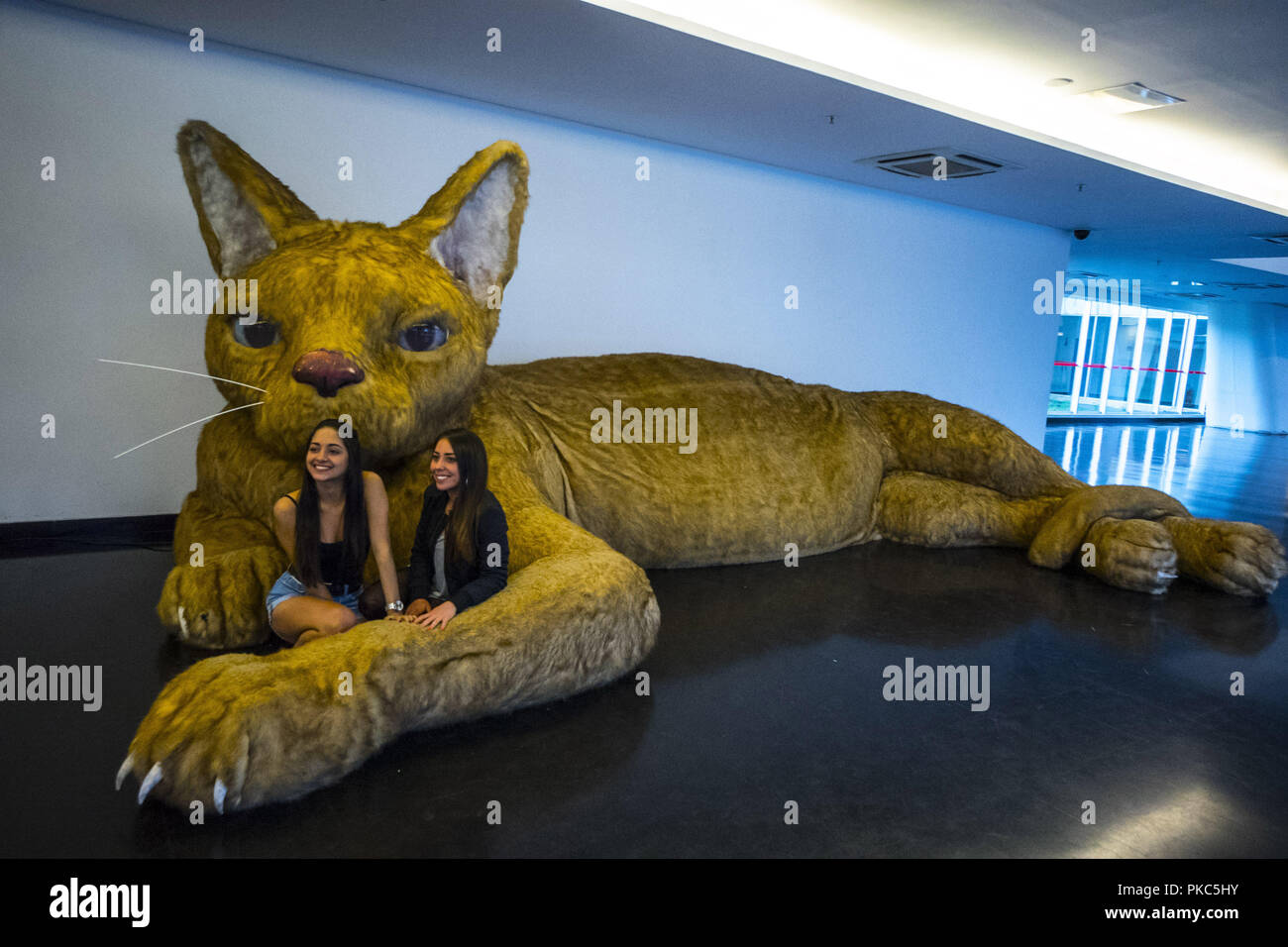 Settembre 12, 2018 - SÃ£O Paulo, SÃ£o Paulo, Brasile - Sao Paulo SP, SP 12/09/2018 Il gatto più grande di SAO PAULO: il più grande dei gatti in SÃ£o Paulo è visibile a livello MAC USP in SÃ£o Paulo, vicino al Parco di Ibirapuera questo pomeriggio (12). Questo gatto è 300 cm . che è 3 metri. E il suo creatore - Nina Pandolfo - esagerato in proporzione alla fine. Questo gatto ti fa pensare: quali sono i limiti dell'indifeso? Un sistema audio riproduce il gatto purr in camera tutto il giorno - che provoca anche alcune difficoltà (perché il purr è morbido di rumore, un rumore che mendica per affetto . ma il gatto le misurazioni effettuate non Foto Stock