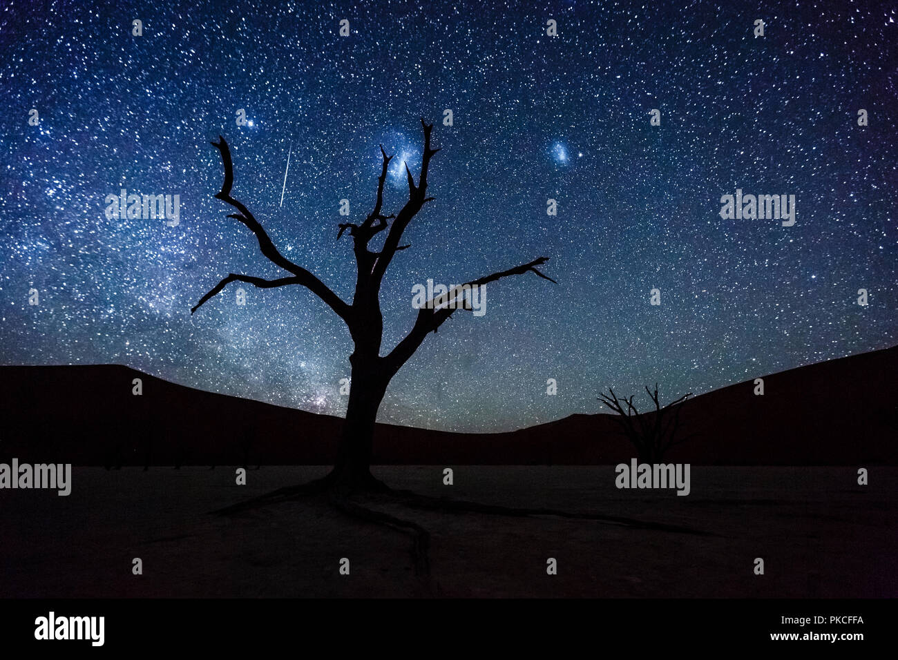 Albero morto nella parte anteriore del cielo stellato con Via Lattea, Deadvlei, Sossusvlei, Namibia Foto Stock