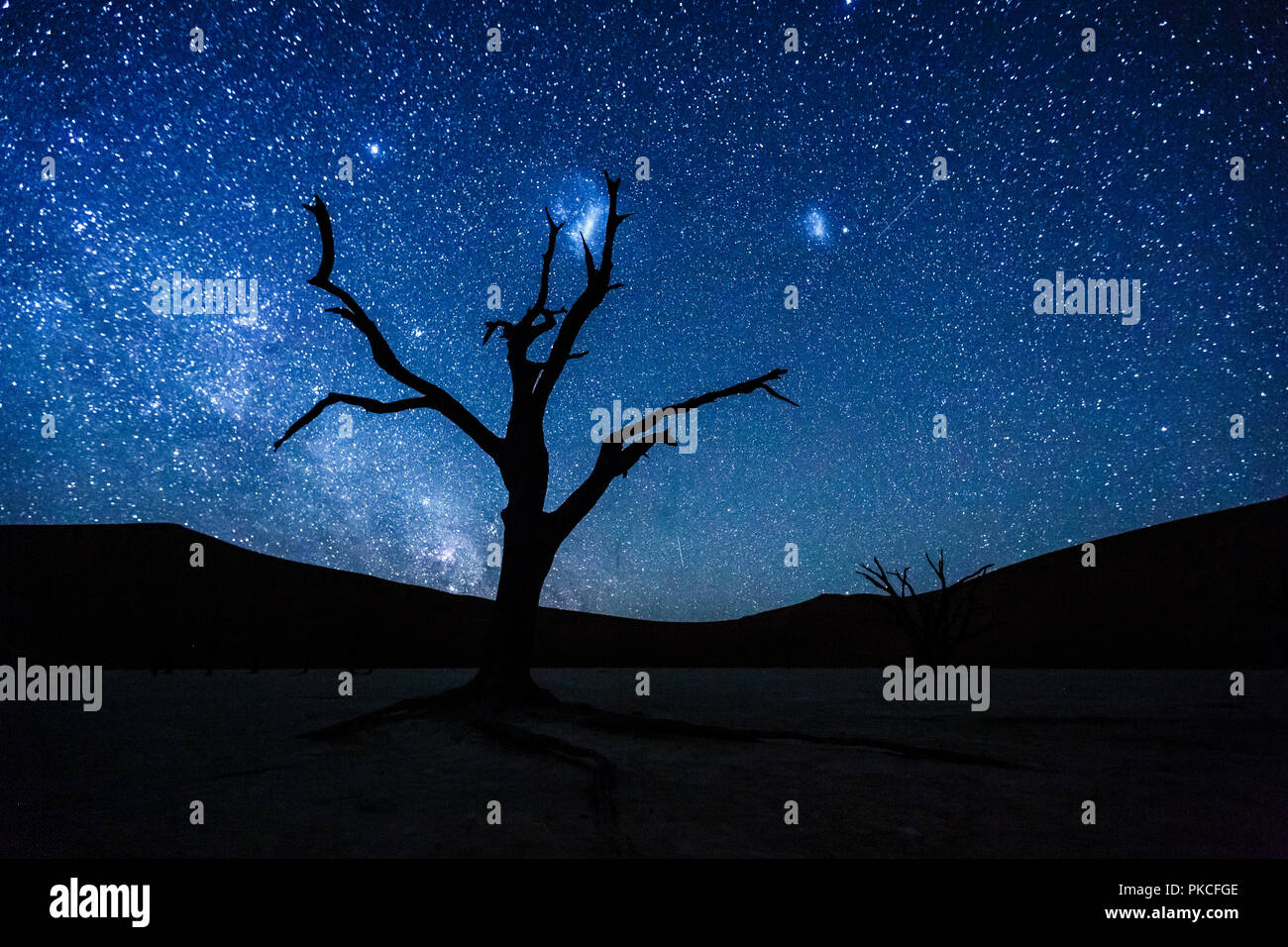 Albero morto nella parte anteriore del cielo stellato con Via Lattea, Deadvlei, Sossusvlei, Namibia Foto Stock